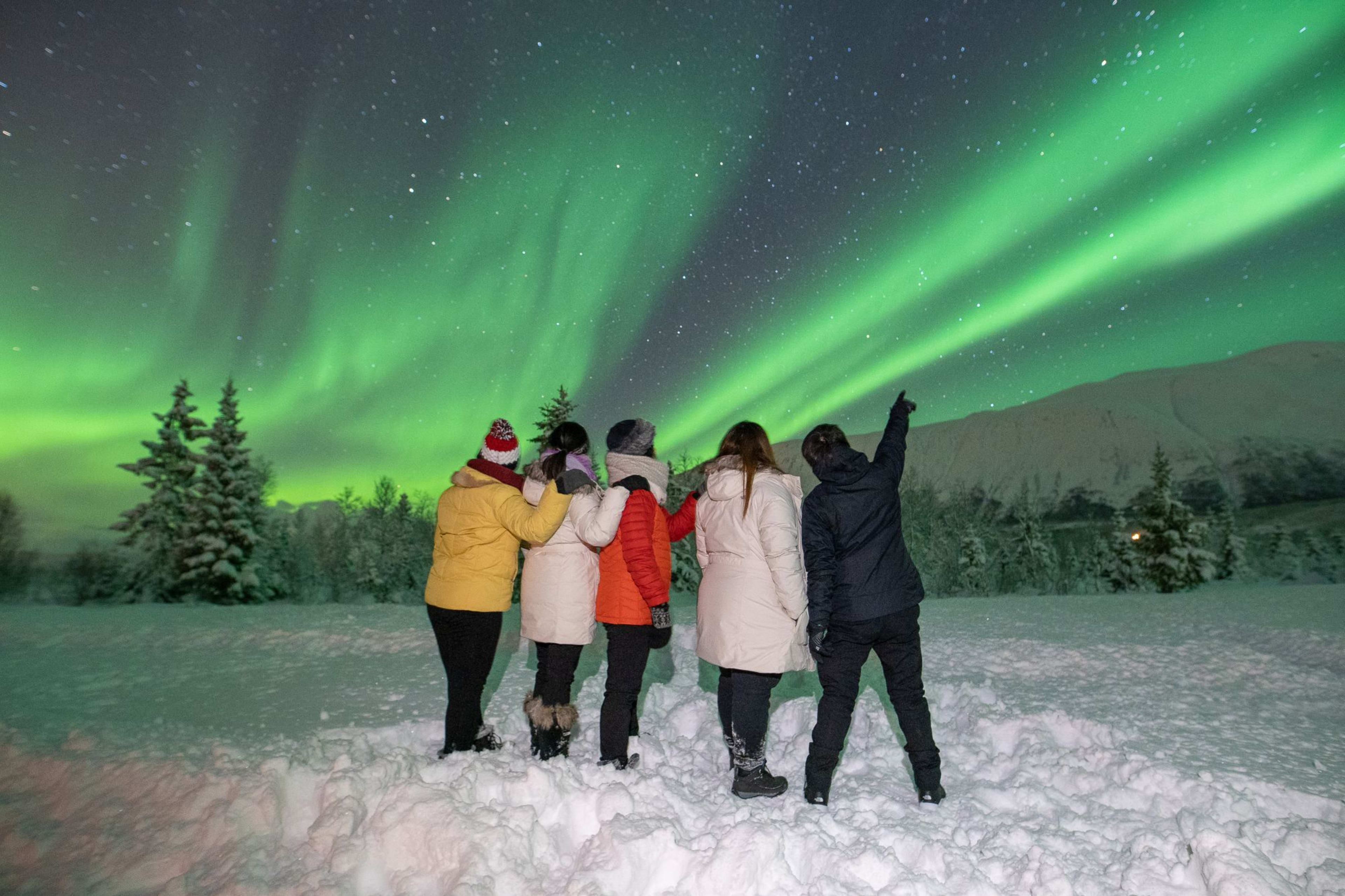 Gruppe von fünf Freunden in Winterjacken, die unter grünen Nordlichtern stehen und einen Moment des Staunens teilen.