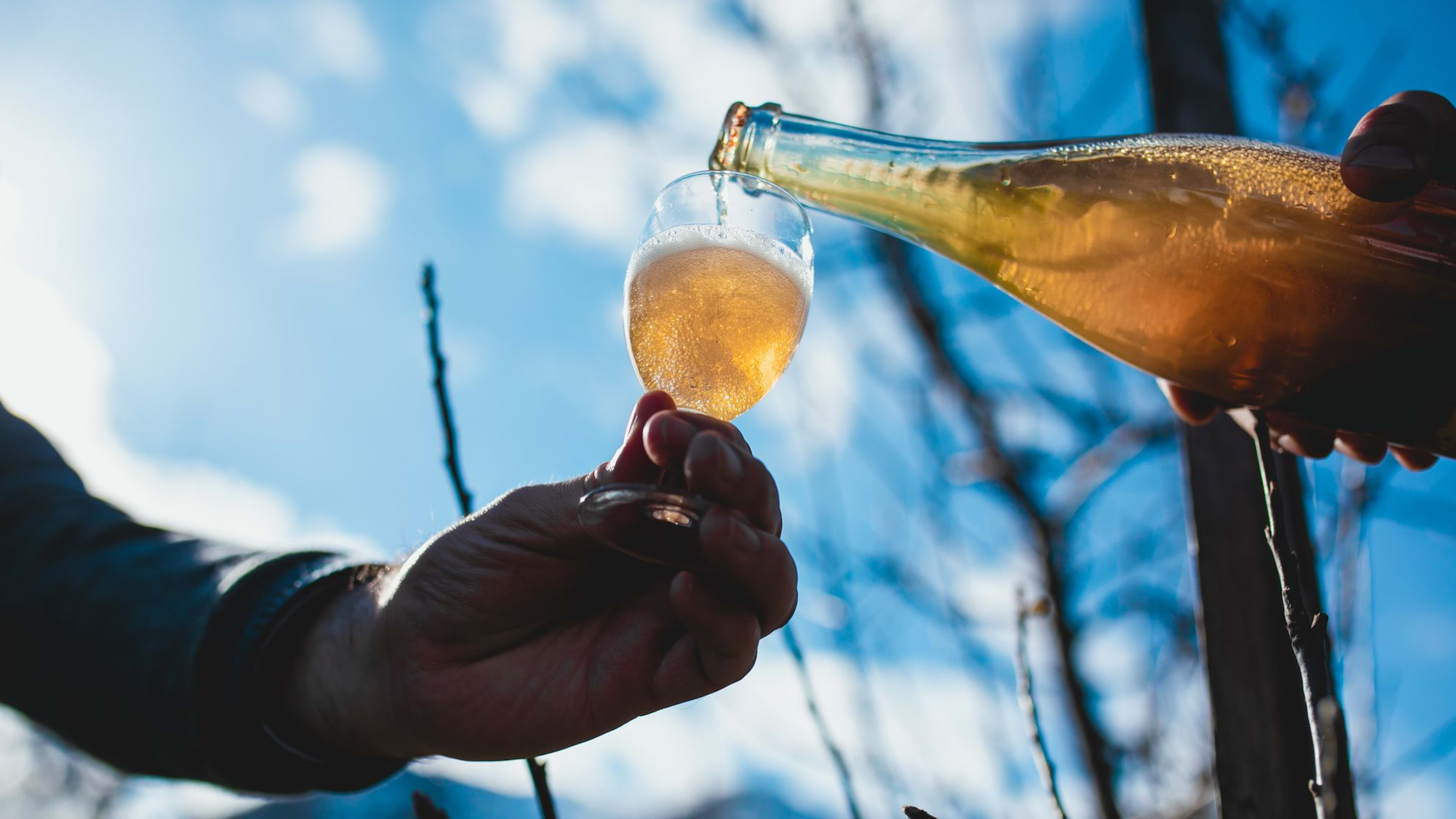 Nærbilde av gyllen musserende cider helles i glass utendørs under blå himmel med grener i bakgrunnen.