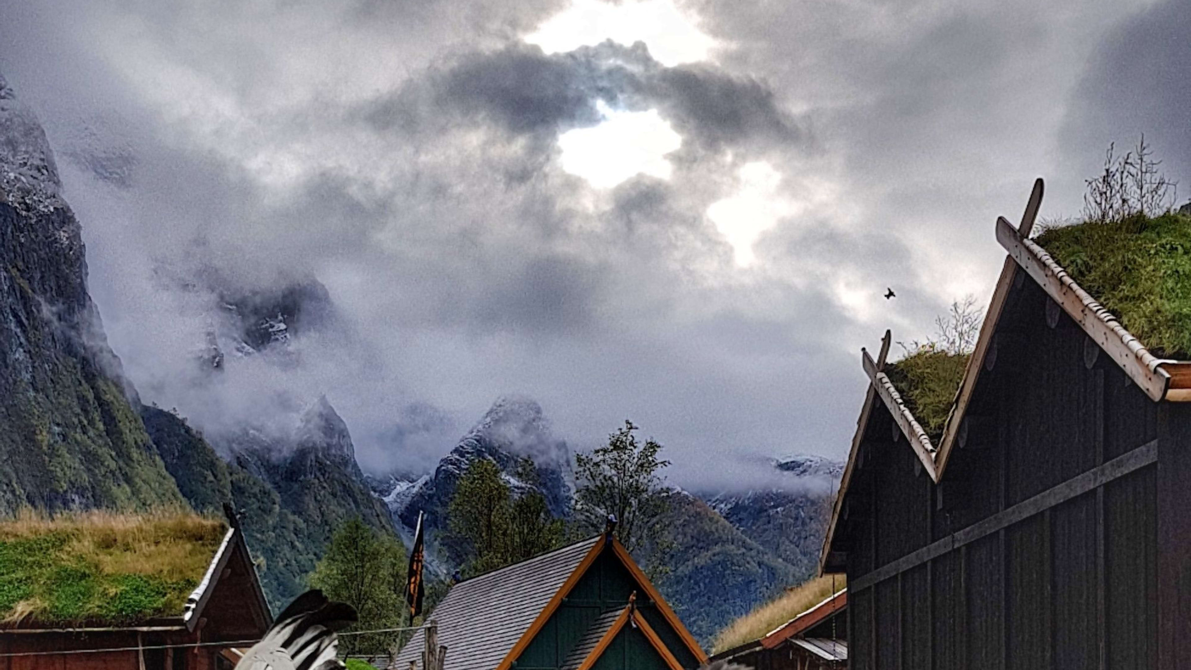 Høner og hane som går fritt på grønn plen foran hus med mose dekkede tak, tåkete fjell og skyet himmel i bakgrunnen.