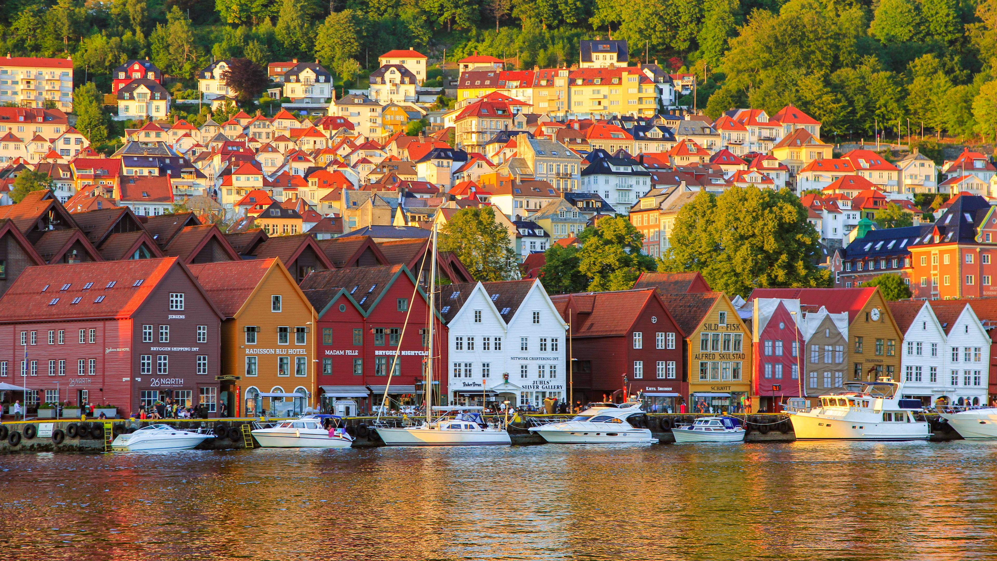 Bunte historische Holzgebäude am Bryggen UNESCO Welterbe Kai in Bergen, Norwegen