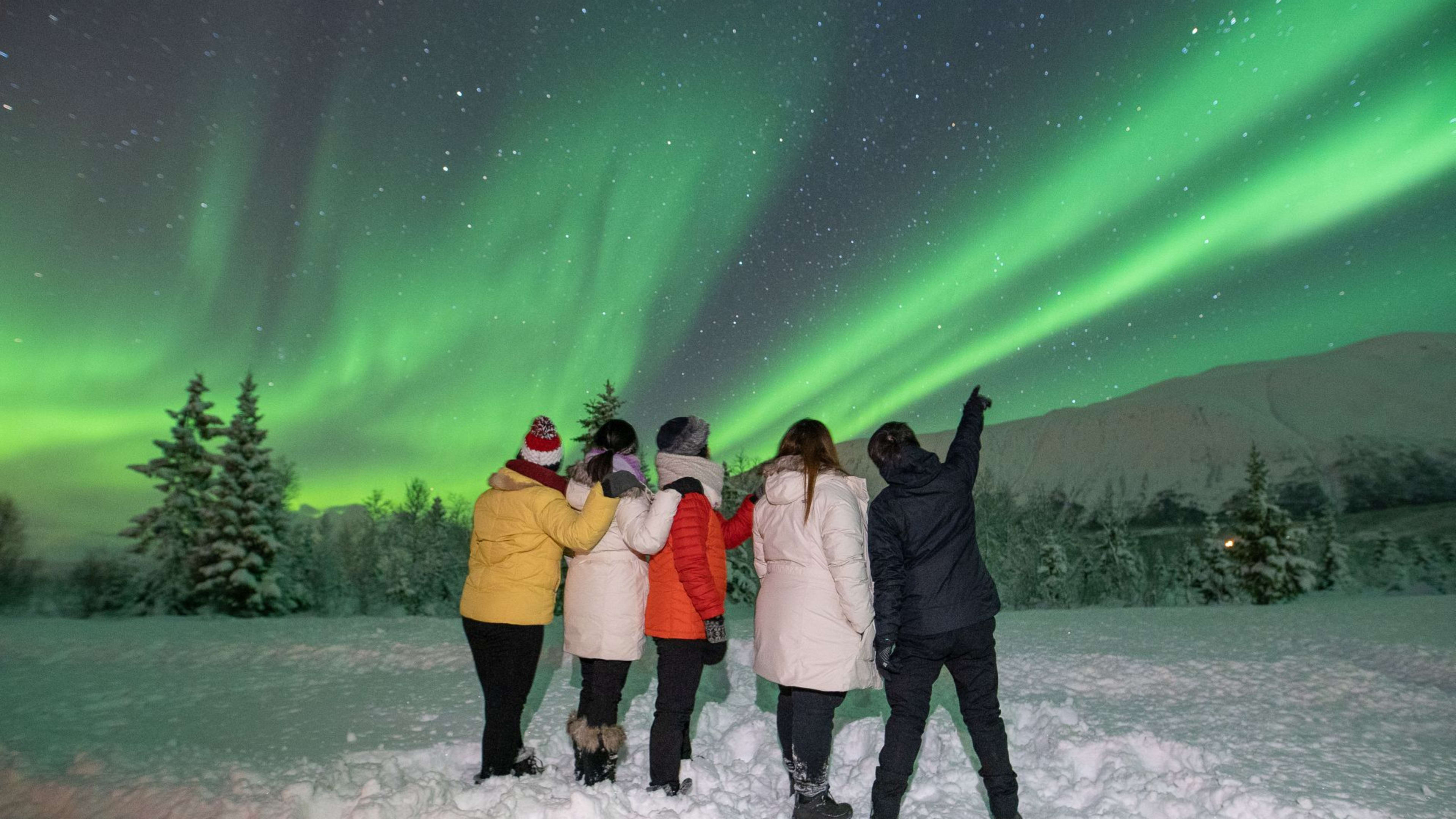 Gruppe von fünf Freunden in Winterjacken, die unter grünen Nordlichtern stehen und einen Moment des Staunens teilen.