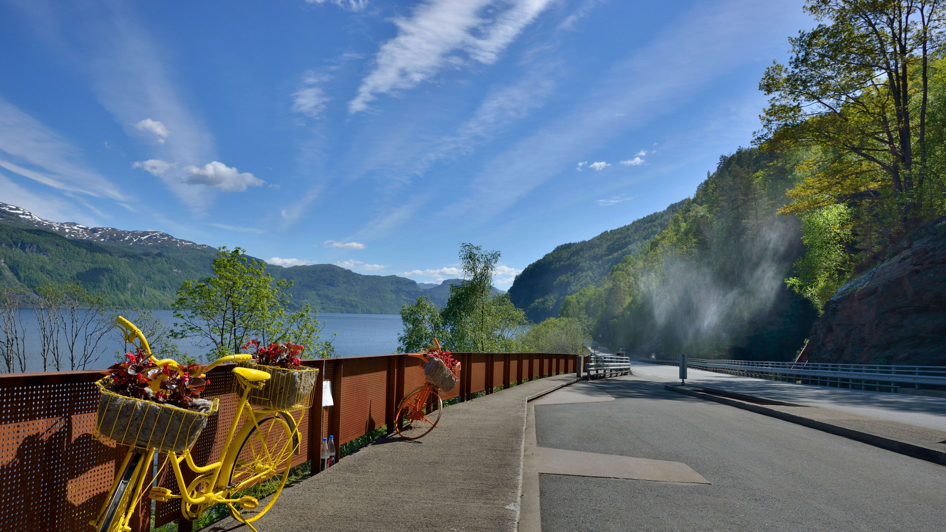 Vibrant yellow and red bicycles parked beside sunny fjord with mountain views.