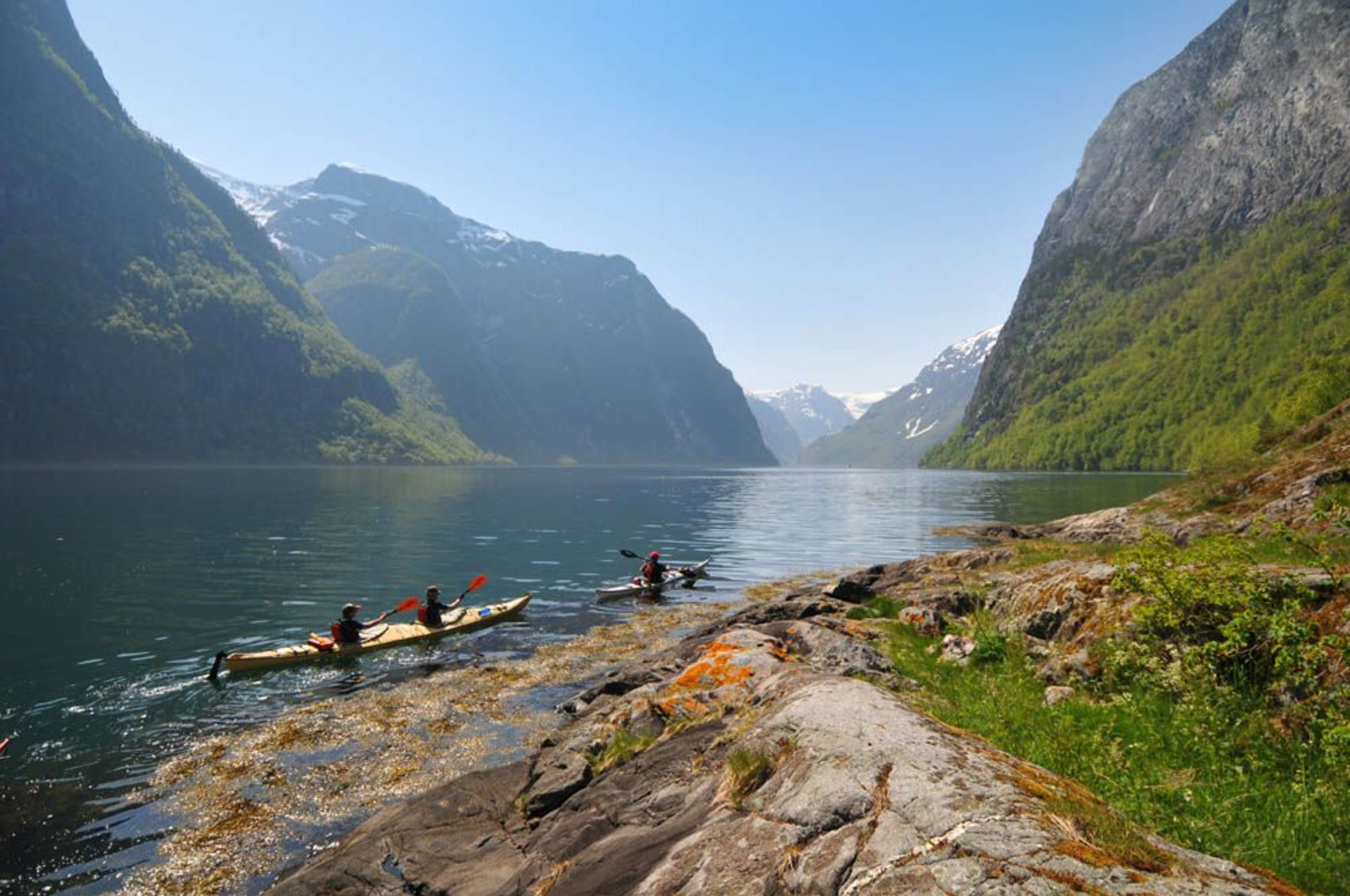 En gruppe kajakkpadlere padler på en rolig, klar fjord med skogkledde fjell og dramatiske klipper som stiger, og de starter fra en mosebelagt strandlinje.