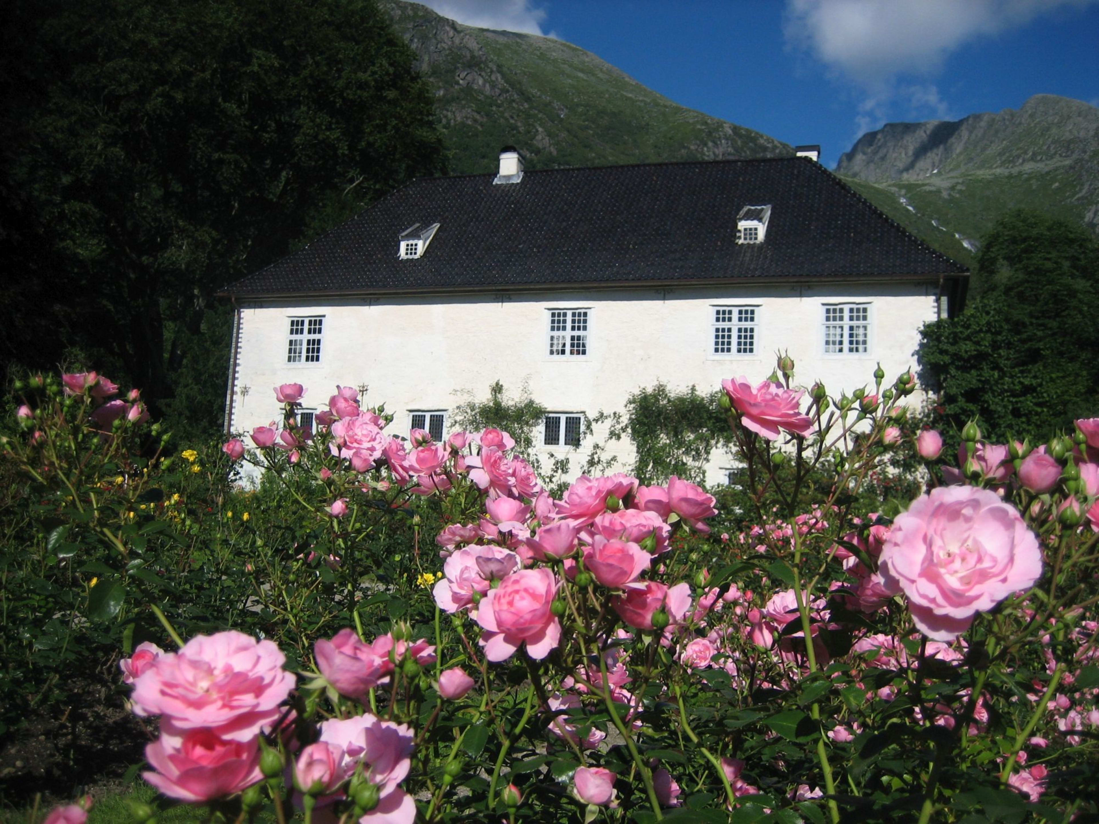 House with blooming pink roses and green mountain backdrop.