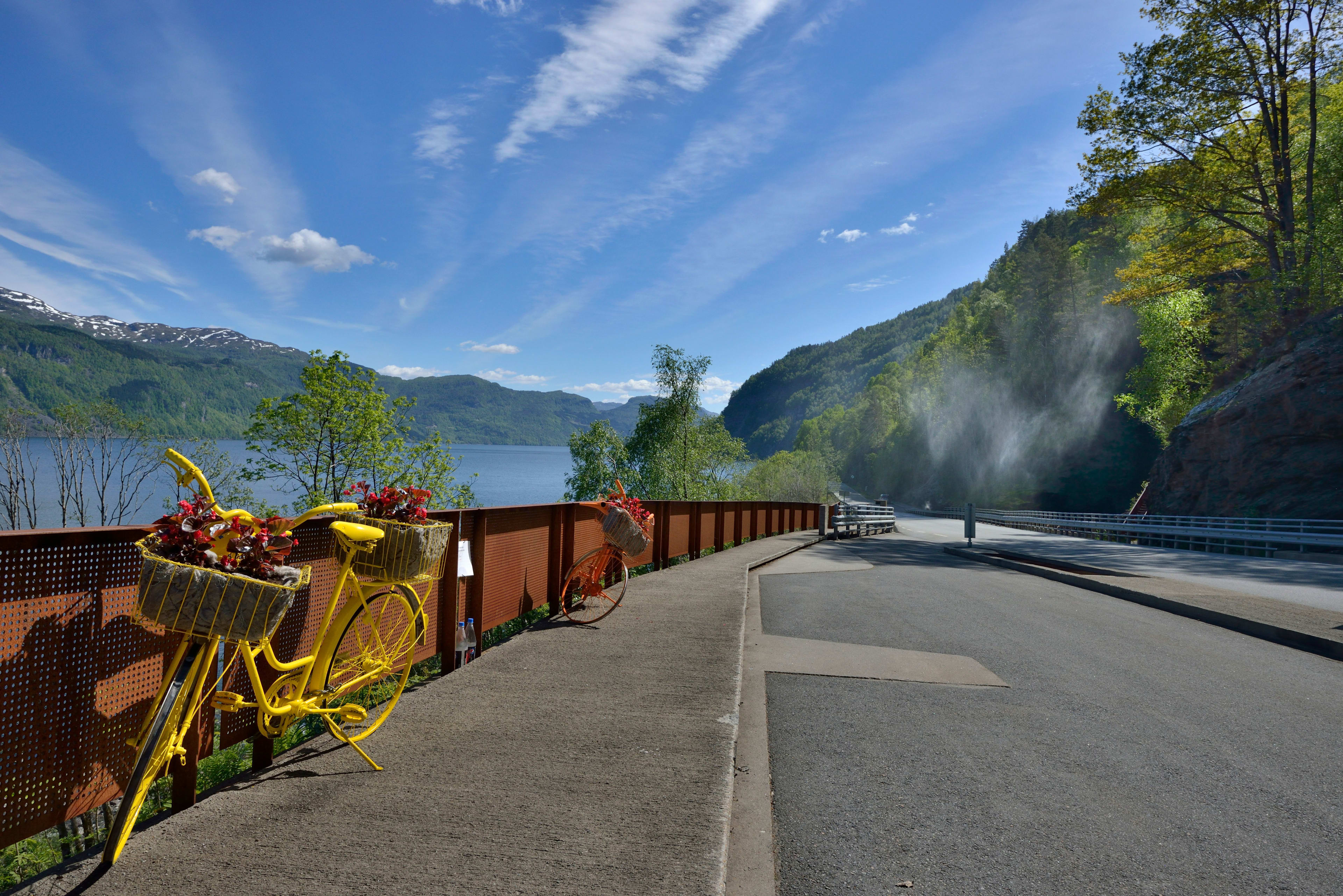 Farbige gelbe und rote Fahrräder geparkt am sonnigen Fjord mit Bergblick.