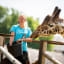 At the Animal Park in Kristiansand you can experience exotic animals such as the elegant giraffe.