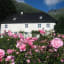 House with blooming pink roses and green mountain backdrop.