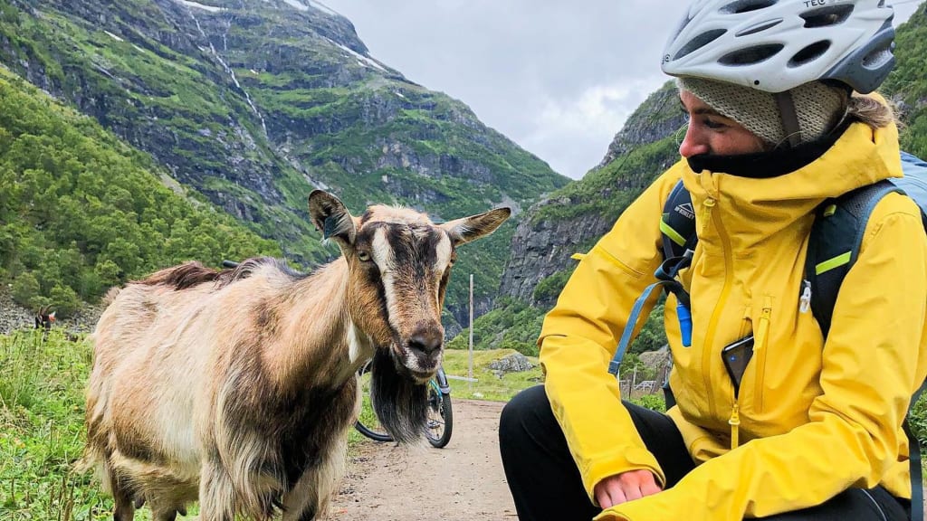 Woman kneels beside goat on mountain trail with green hills around.