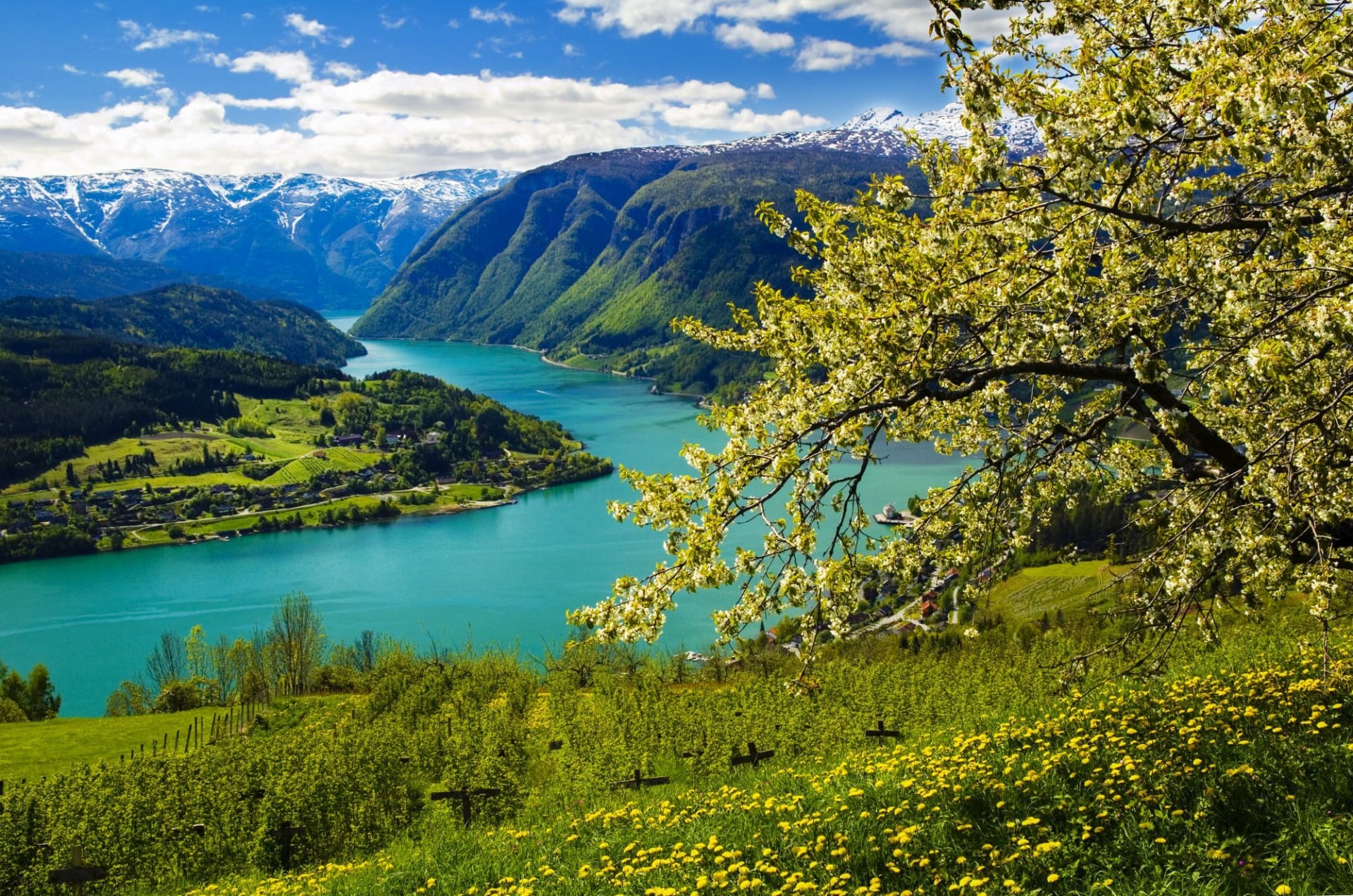 Frühlingsfjord mit Blüten, Löwenzahn und Bergen.