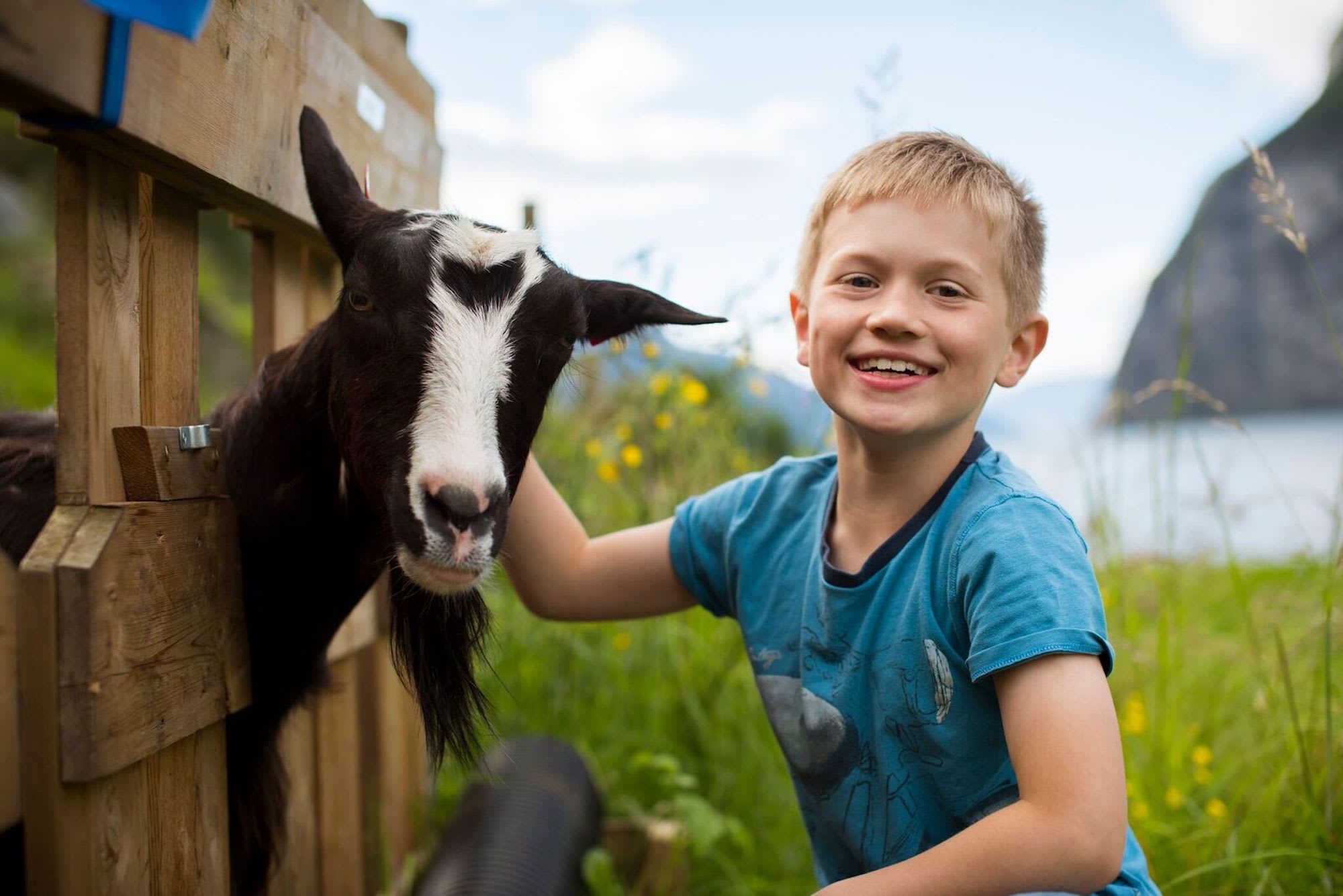 Boy happily posing with black and white goat, smiling beside rustic wooden fence in a beautiful countryside setting.