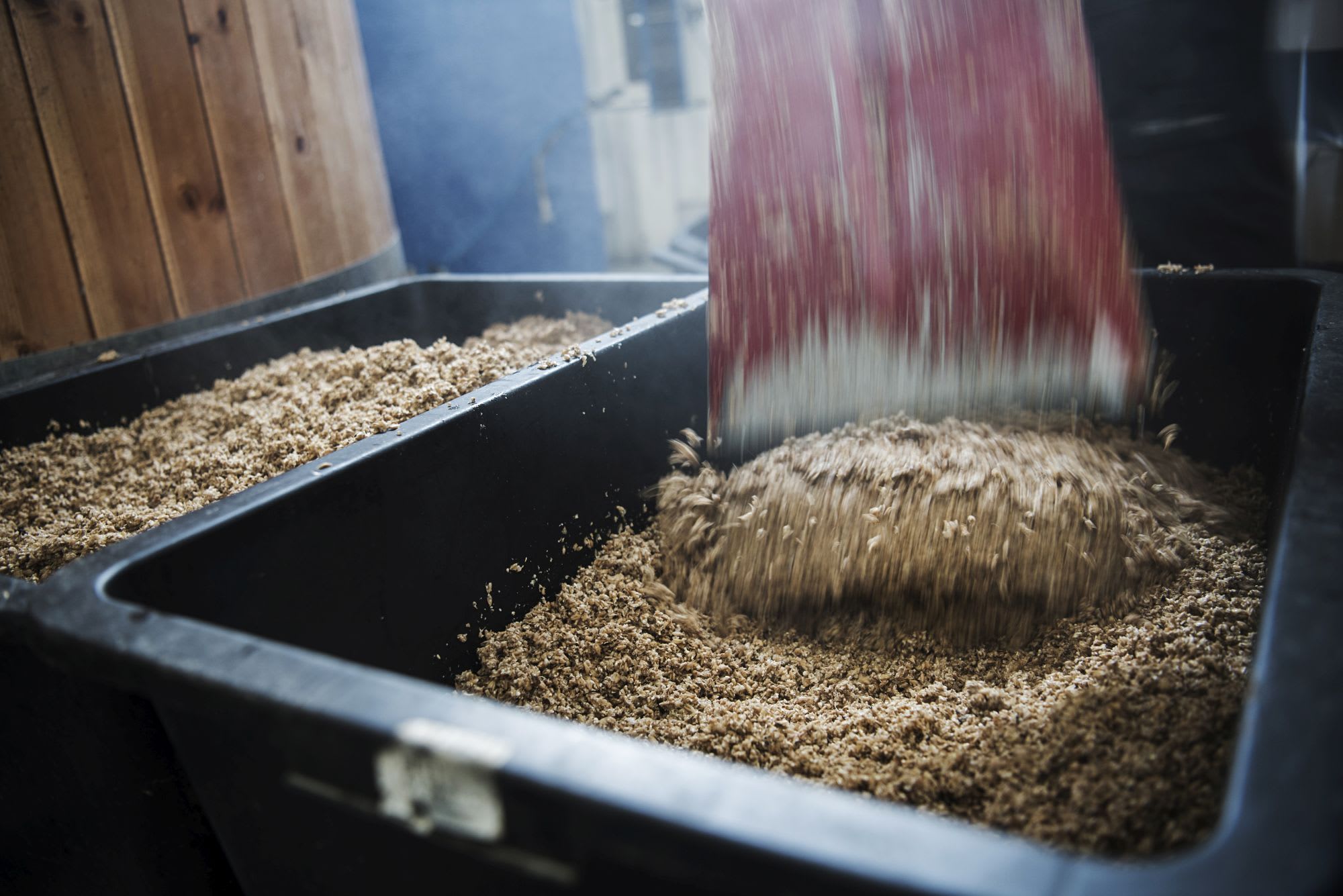 Close-up of person shoveling malt into containers in a rustic, industrial-style setting with wooden wall.