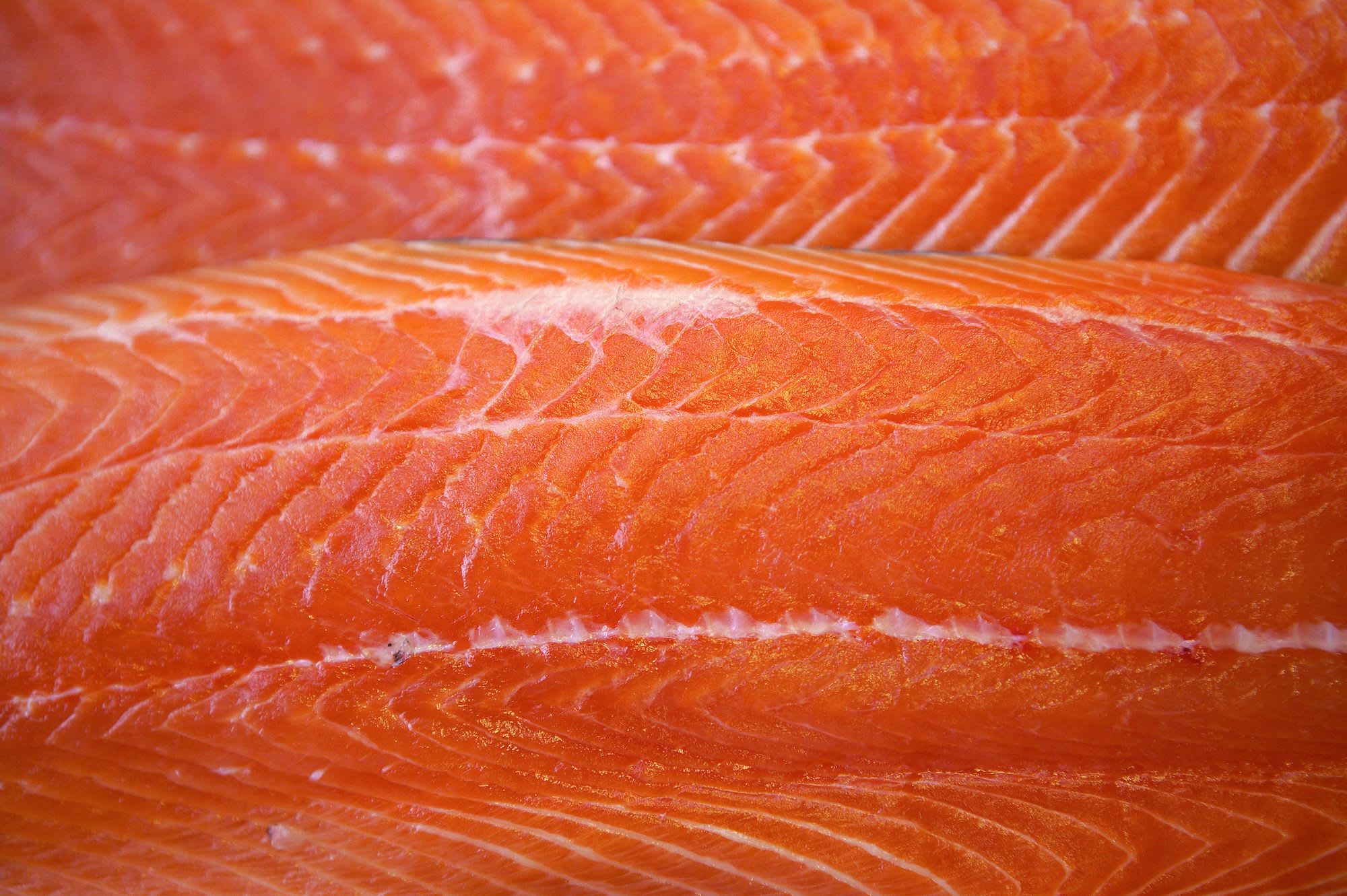 Norwegischer Lachs – beliebter Sushi-Fisch