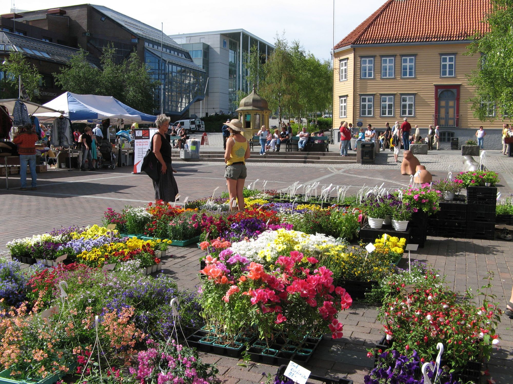 Outdoor market with vibrant flower displays, people browsing, and tents set up, creating a lively, welcoming scene.