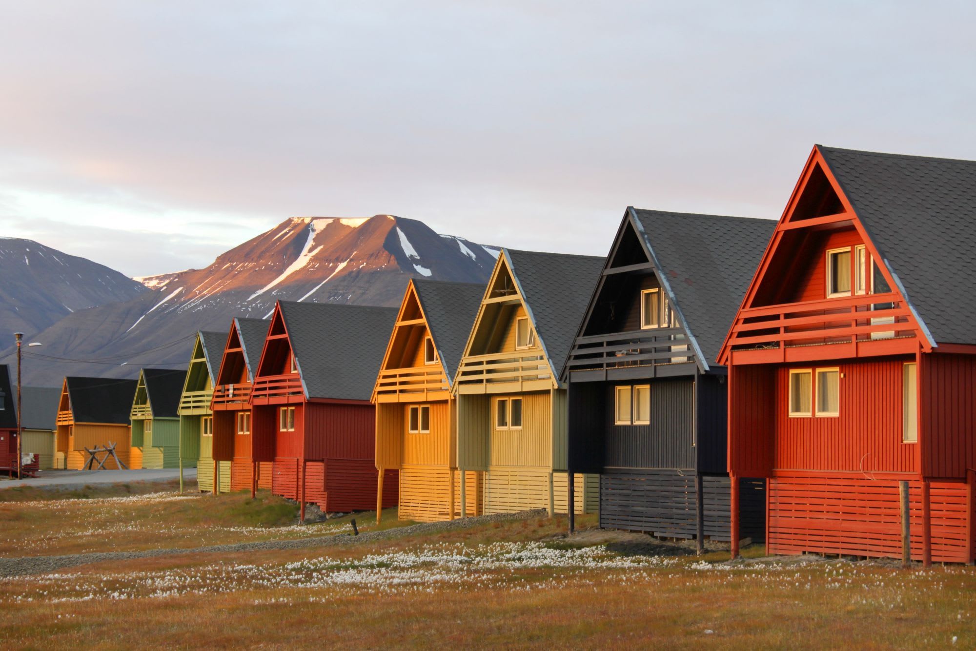 Colorful houses with triangular roofs against snow-capped mountains, surrounded by green grass and white flowers.