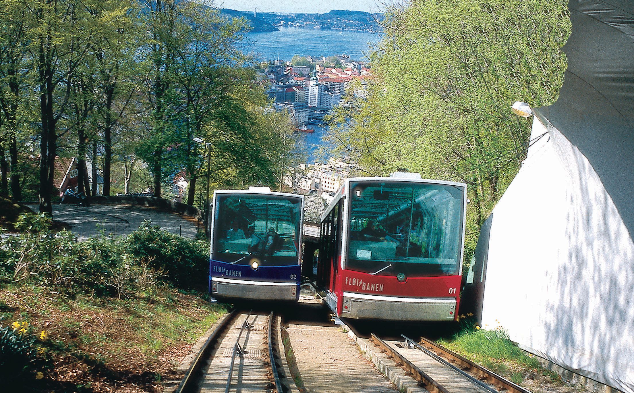Two funicular trains, red and blue, on steep track with scenic city view by water, peaceful and picturesque moment.