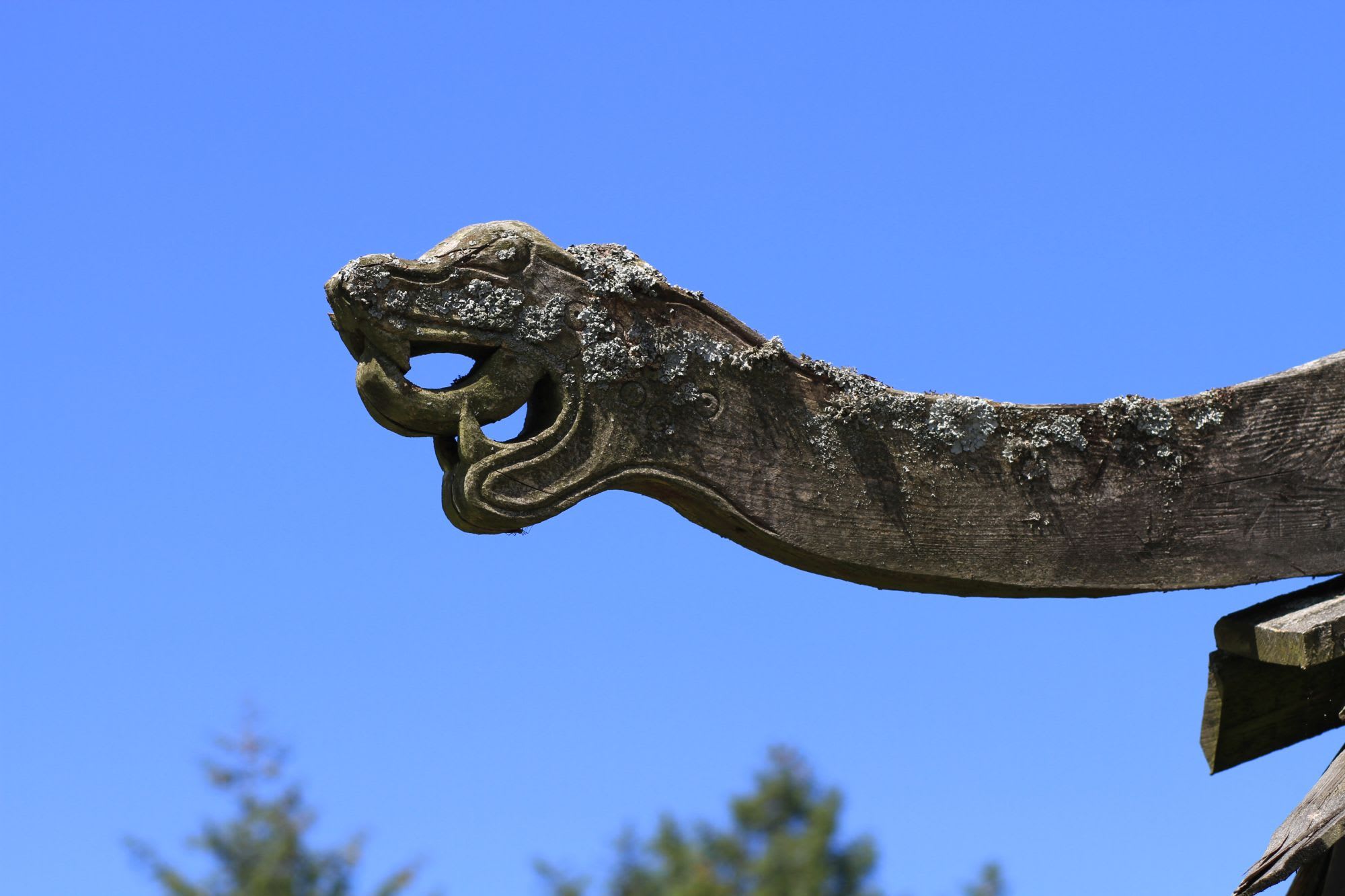Carved dragon on a Norwegian viking house is a unique art