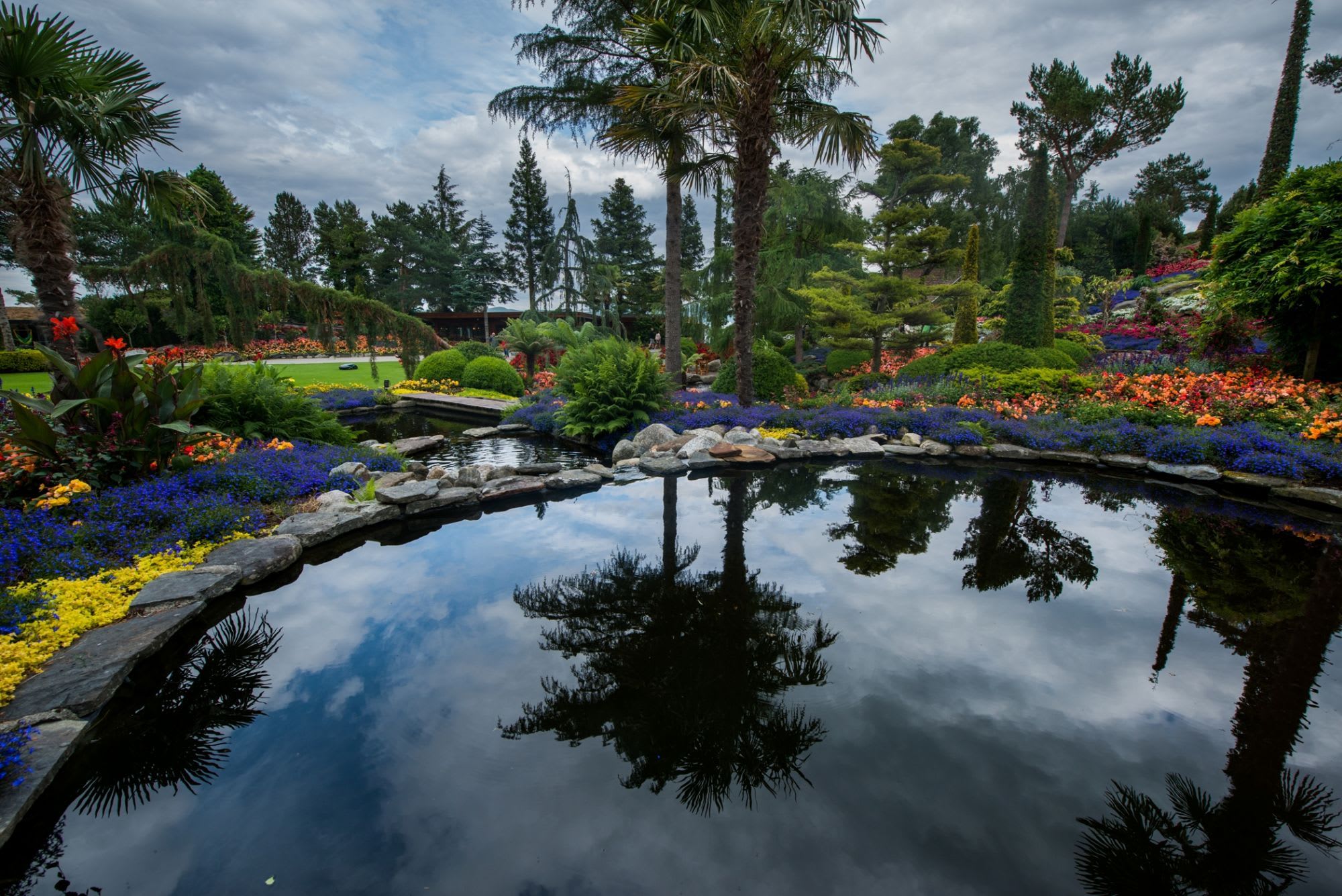 Beautiful garden with lush greenery, palm trees, and vibrant flowers surrounding a small pond reflecting the sky.