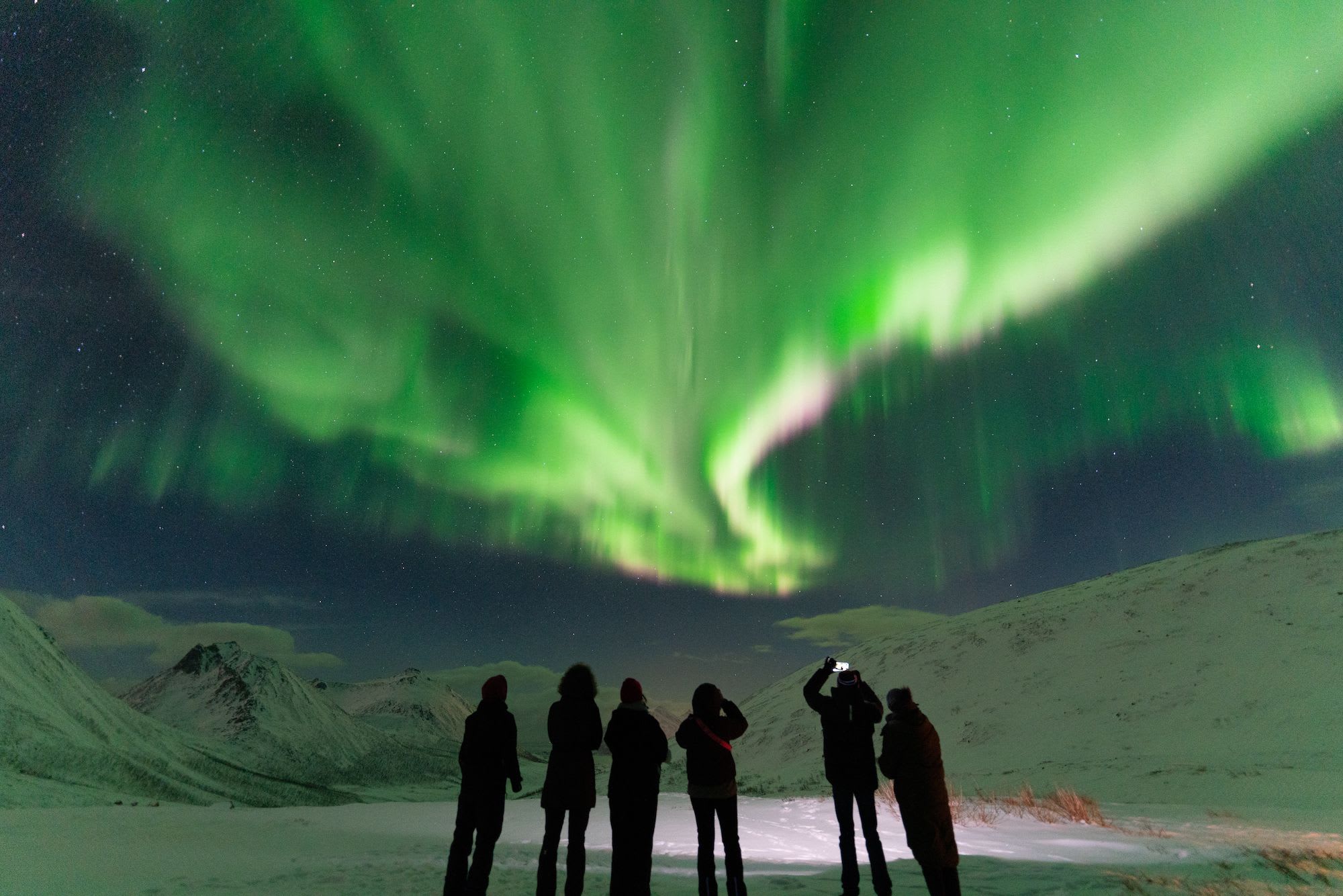 Nordlystur i Tromsø - gruppe ser på grønne nordlys som danser over arktisk himmel