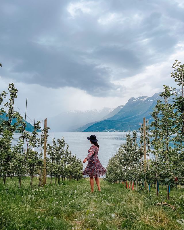 Kvinne i kjole ser mot tåkete fjell fra frukthage ved fjord.