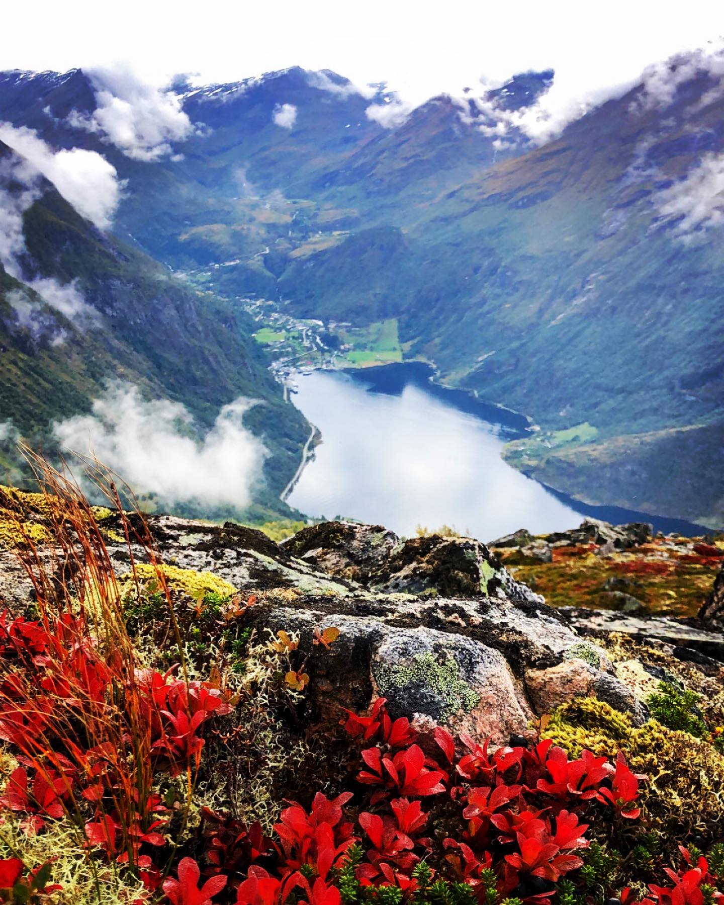 Red alpine mosses in rocks frame misty fjord and mountain view.