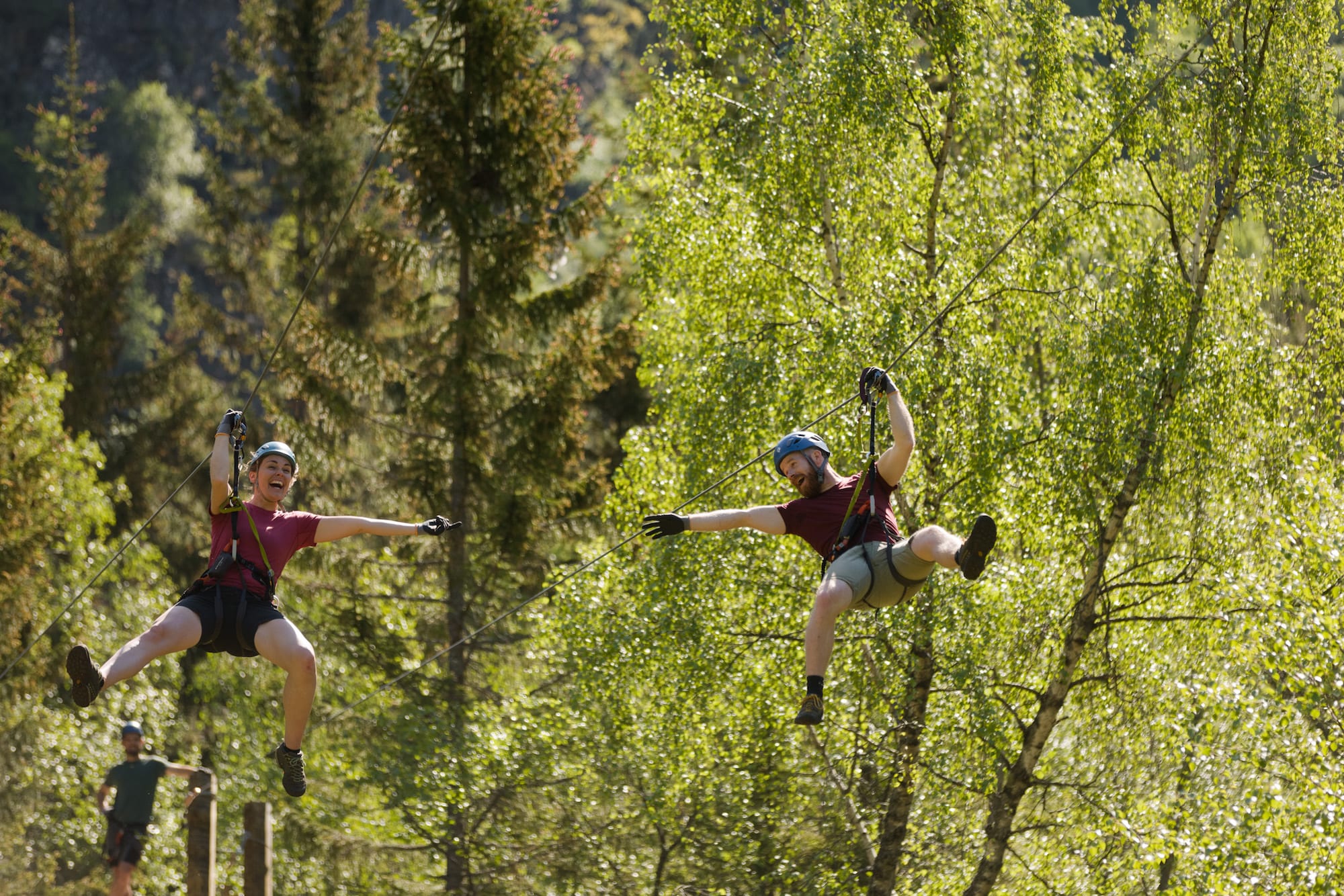 Skogkrone zipline-eventyr gjennom trær med sikkerhetsutstyr i Geiranger