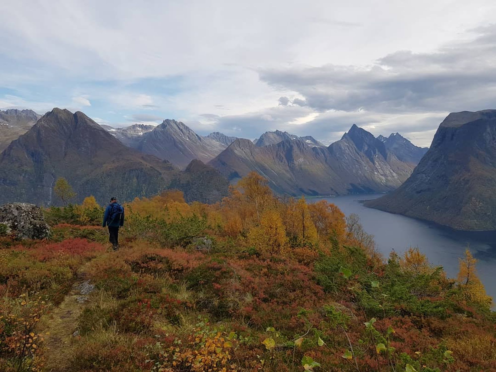 Hiker walking through autumn foliage, with breathtaking mountain landscape and fjord in the distance.