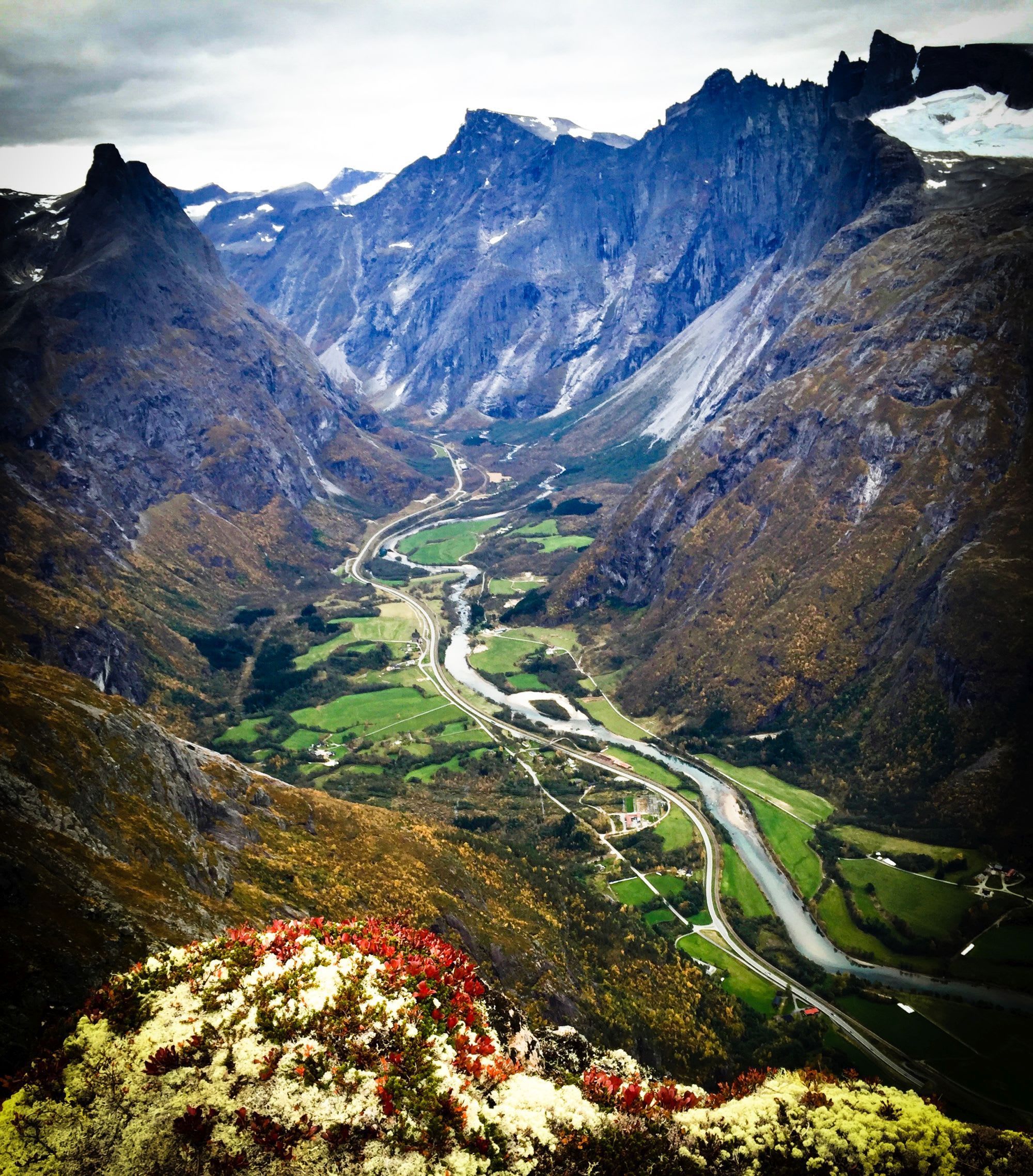 A scenic valley with a winding river, mountains, and colorful wildflowers.