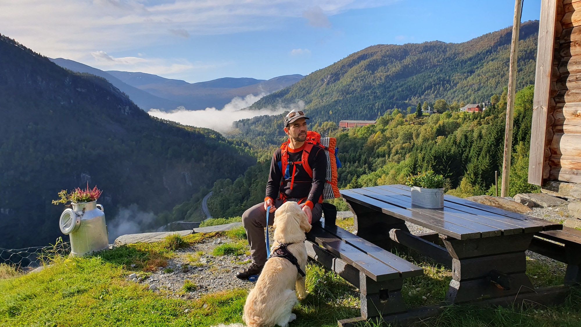 Man and dog sit on a bench, gazing at misty mountains in the distance.