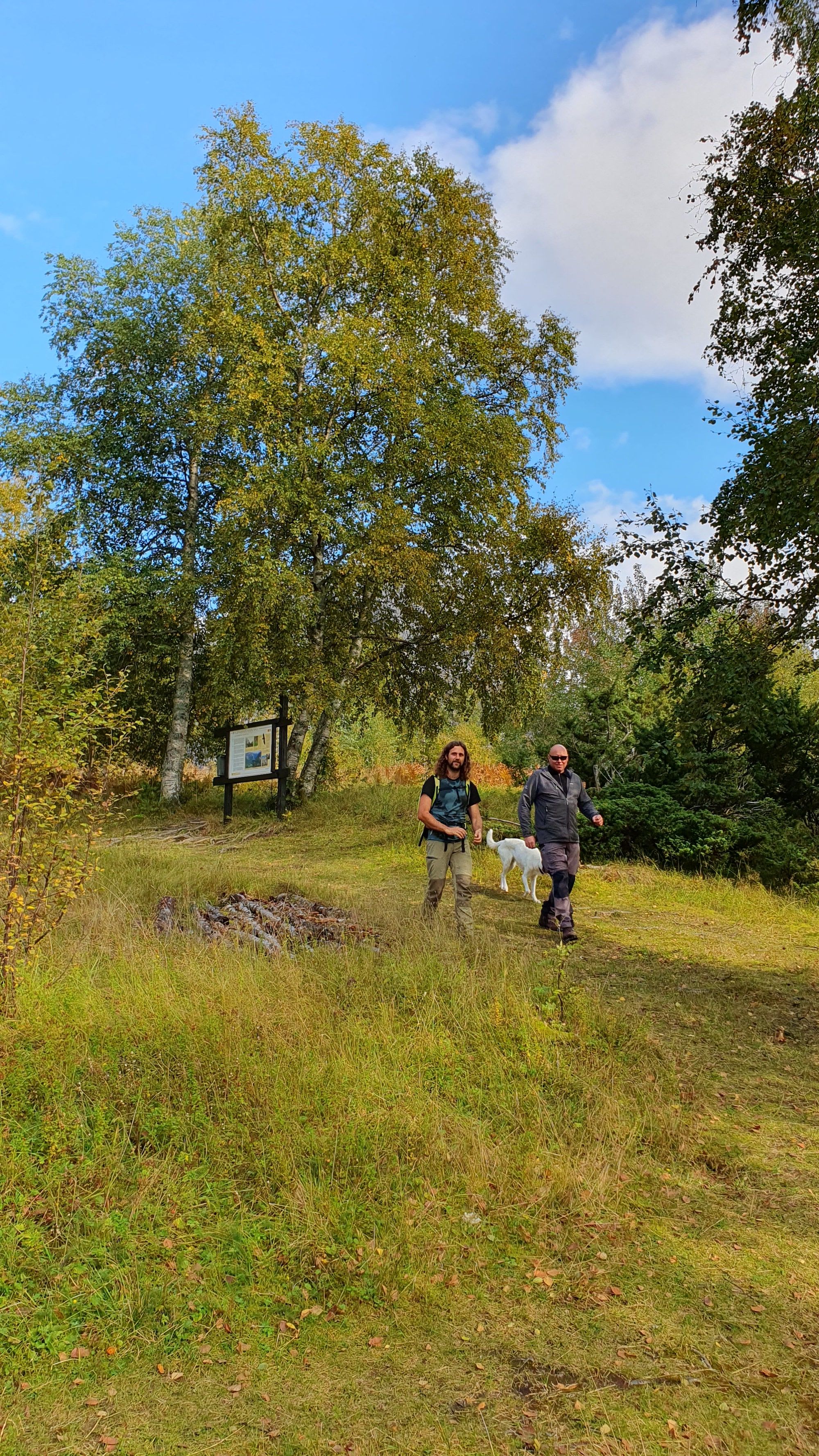 Two men and a dog walk on a grassy trail surrounded by lush trees.