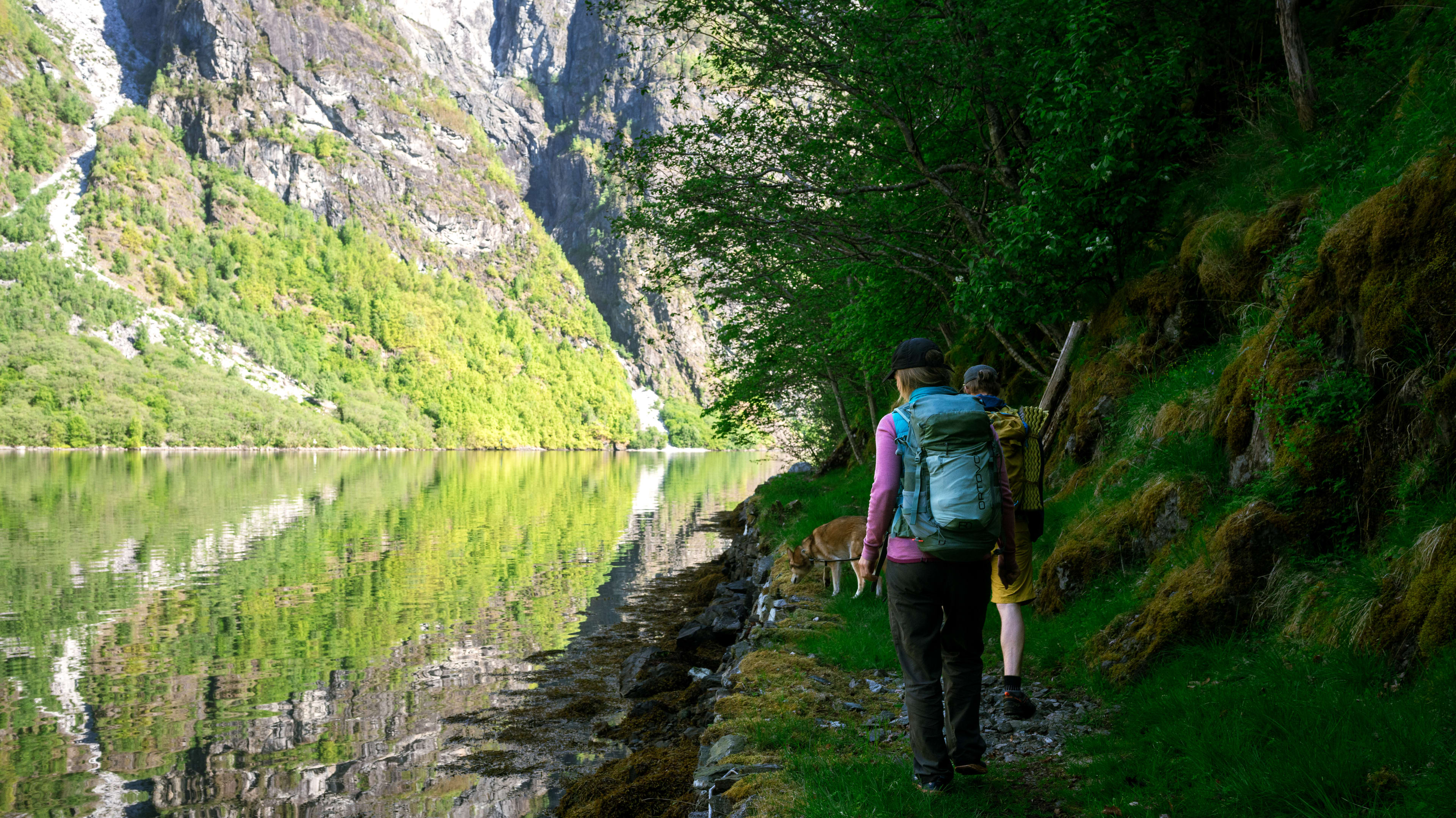 Person som vandrer på historiske Kongeveien ved fjorden med turkist vann som speiler bratte fjellvegger