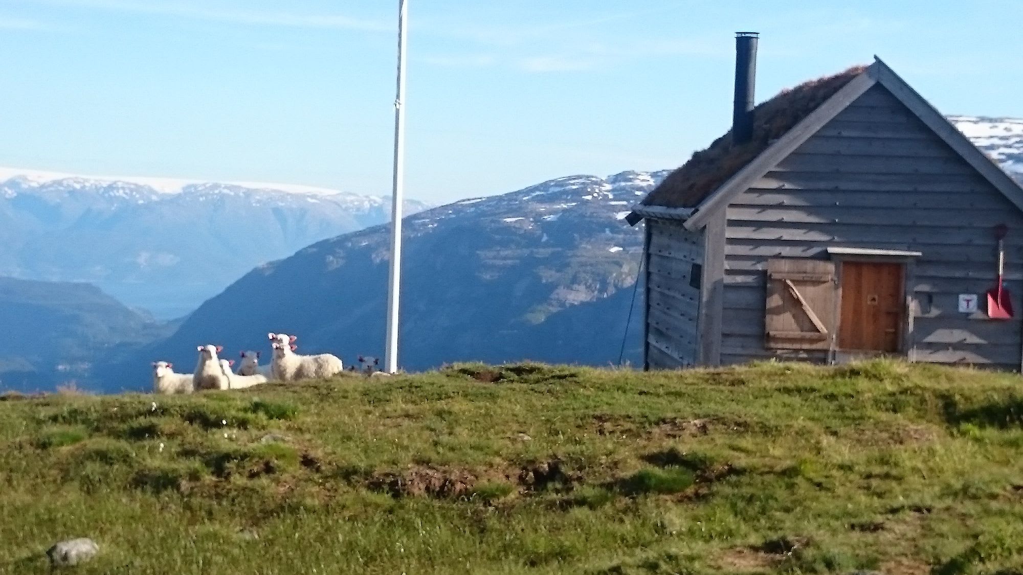 Small wooden cabin with grass-covered roof, surrounded by grazing sheep and distant mountains.