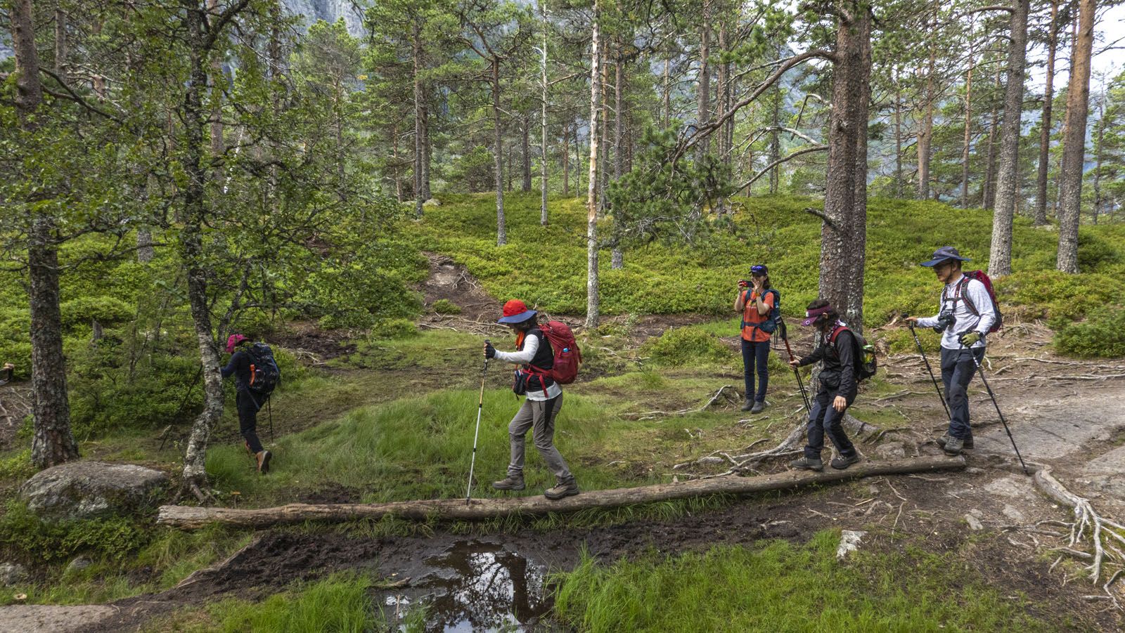 Turgåere i en frodig skog, én krysser en stokk over en bekk.