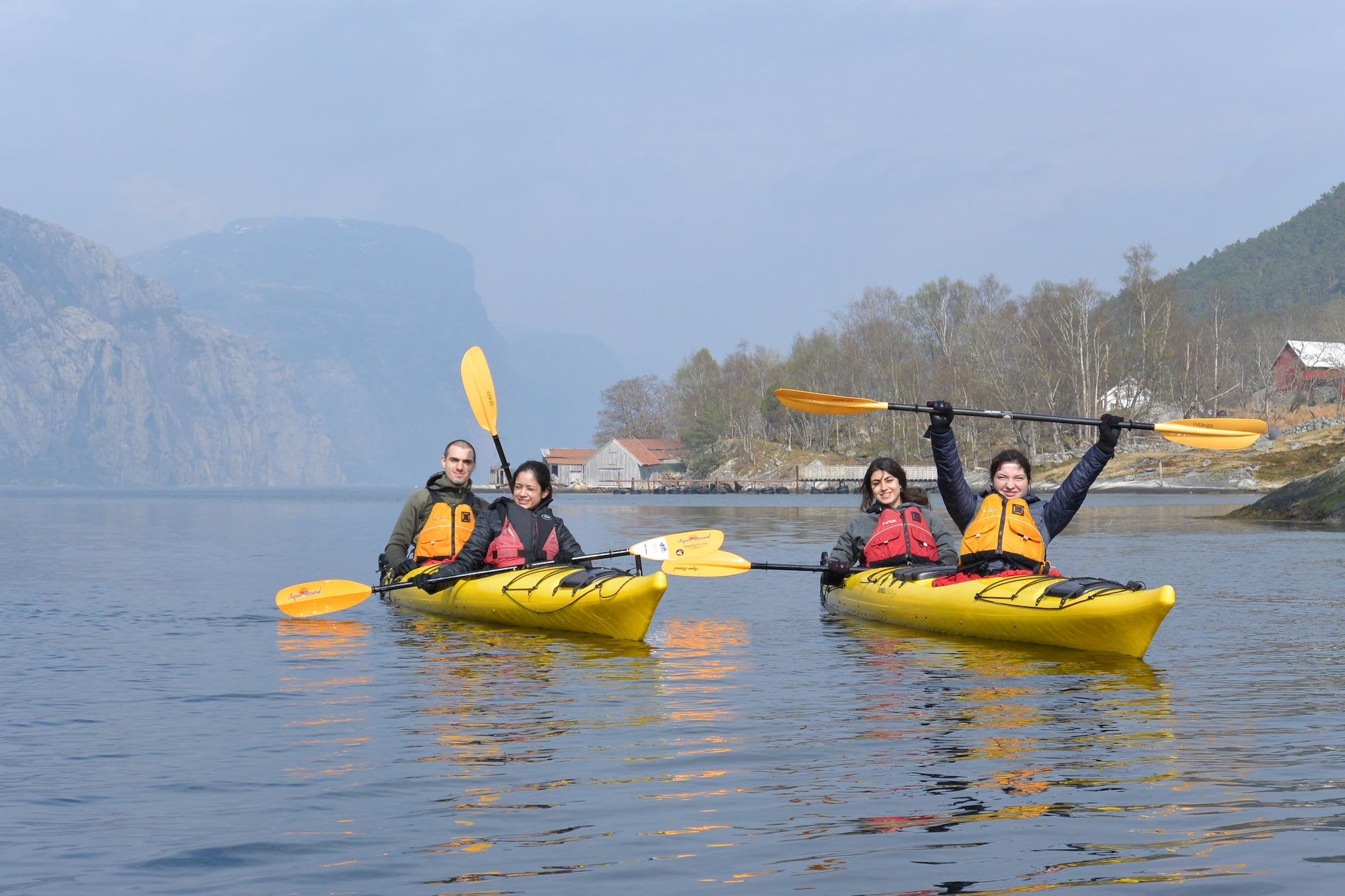 Vier paddeln gelbe Kajaks auf ruhigem Fjord.