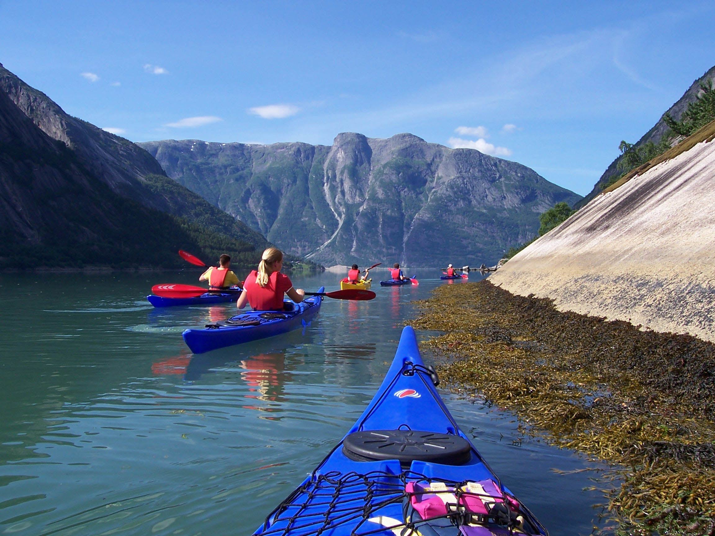 Group of kayakers paddling blue and red kayaks along a calm, clear fjord with seaweed-covered rocky shore and green mountains.
