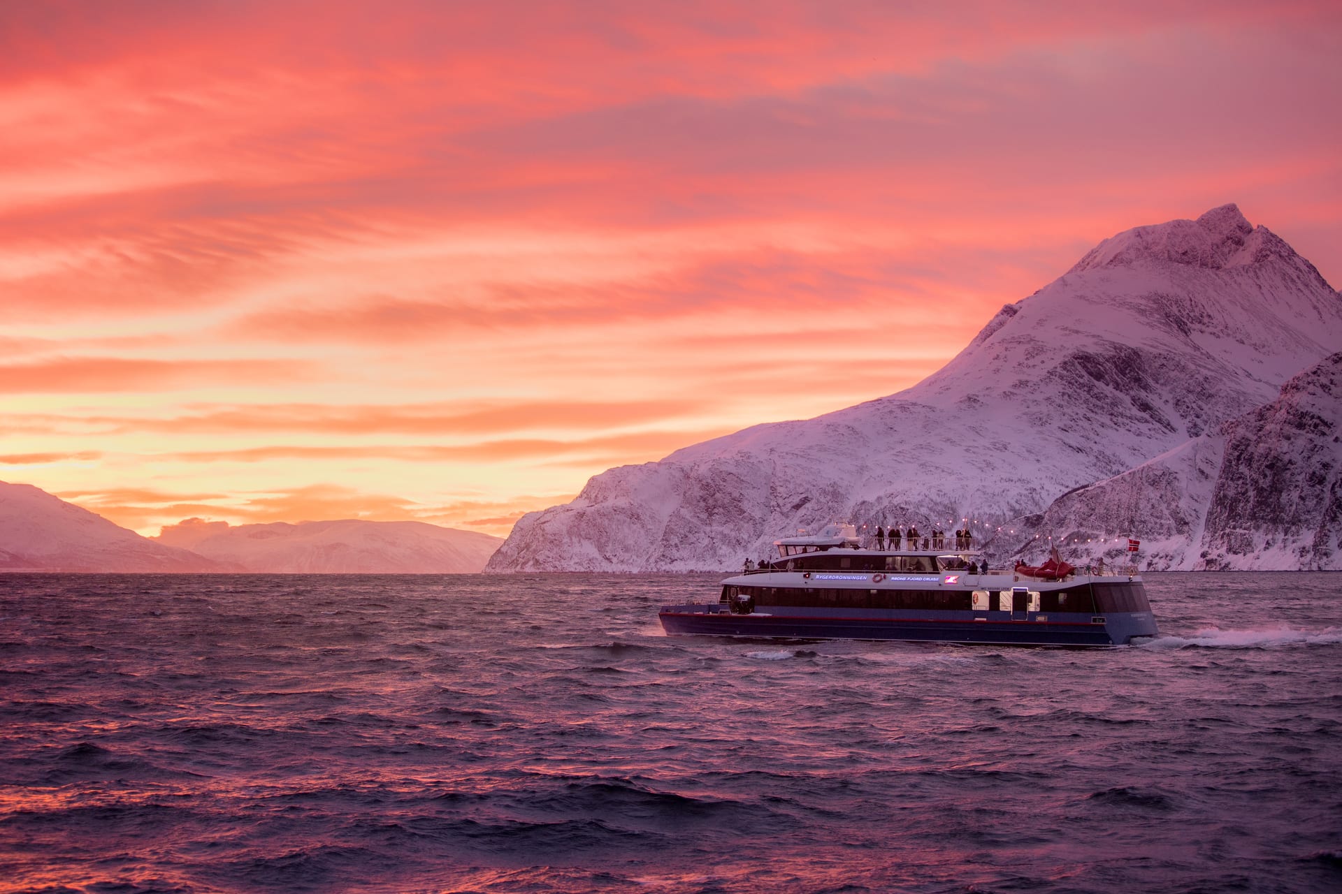 Komfortabler Katamaran für Walbeobachtung und arktische Tierwelt in Tromsø Fjorden