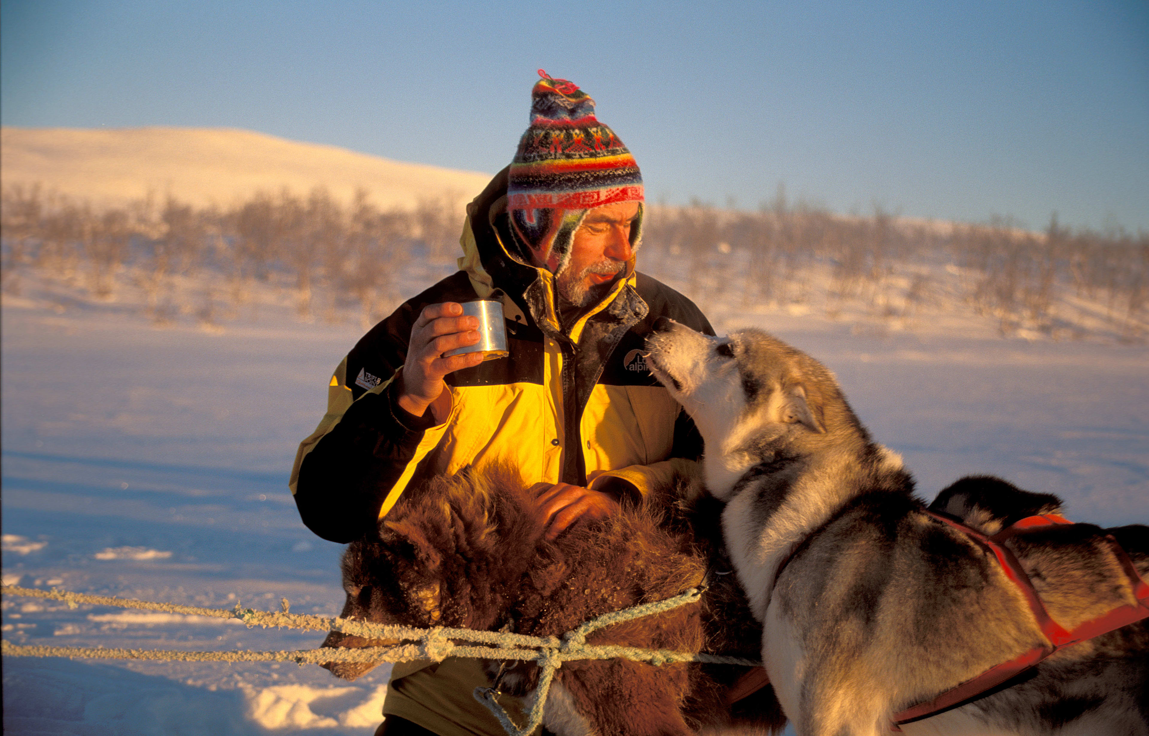 Kjører med husky hundespann i gyllen time ved arktisk fjord med tåkete fjell, Norge
