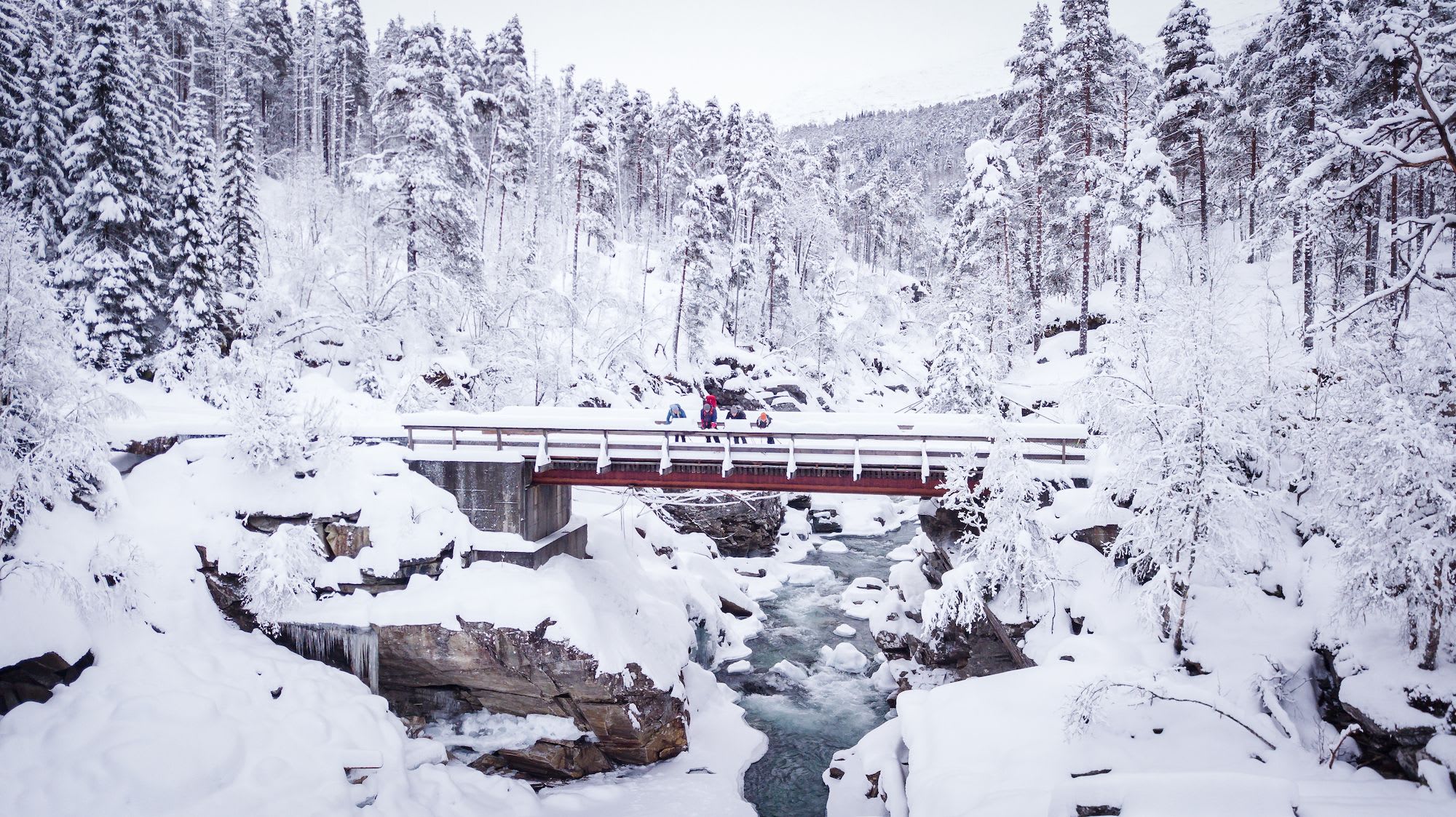 Snowy bridge over rocky gorge with hikers in snowy forest.