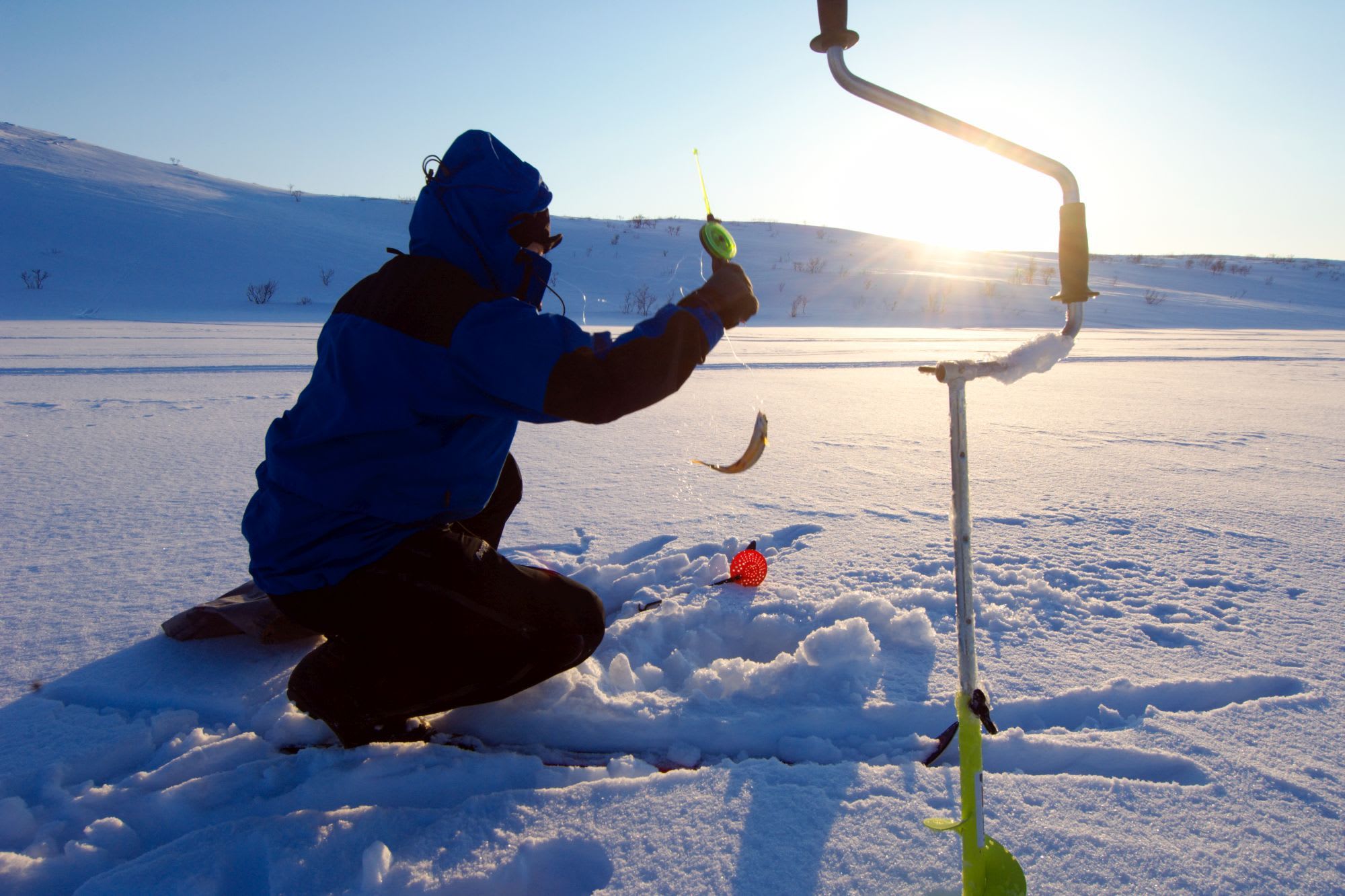 En person i blå vinterjakke isfisker ved solnedgang, holder en fisk over et hull i den snødekte innsjøen, med fiskeutstyr i nærheten.
