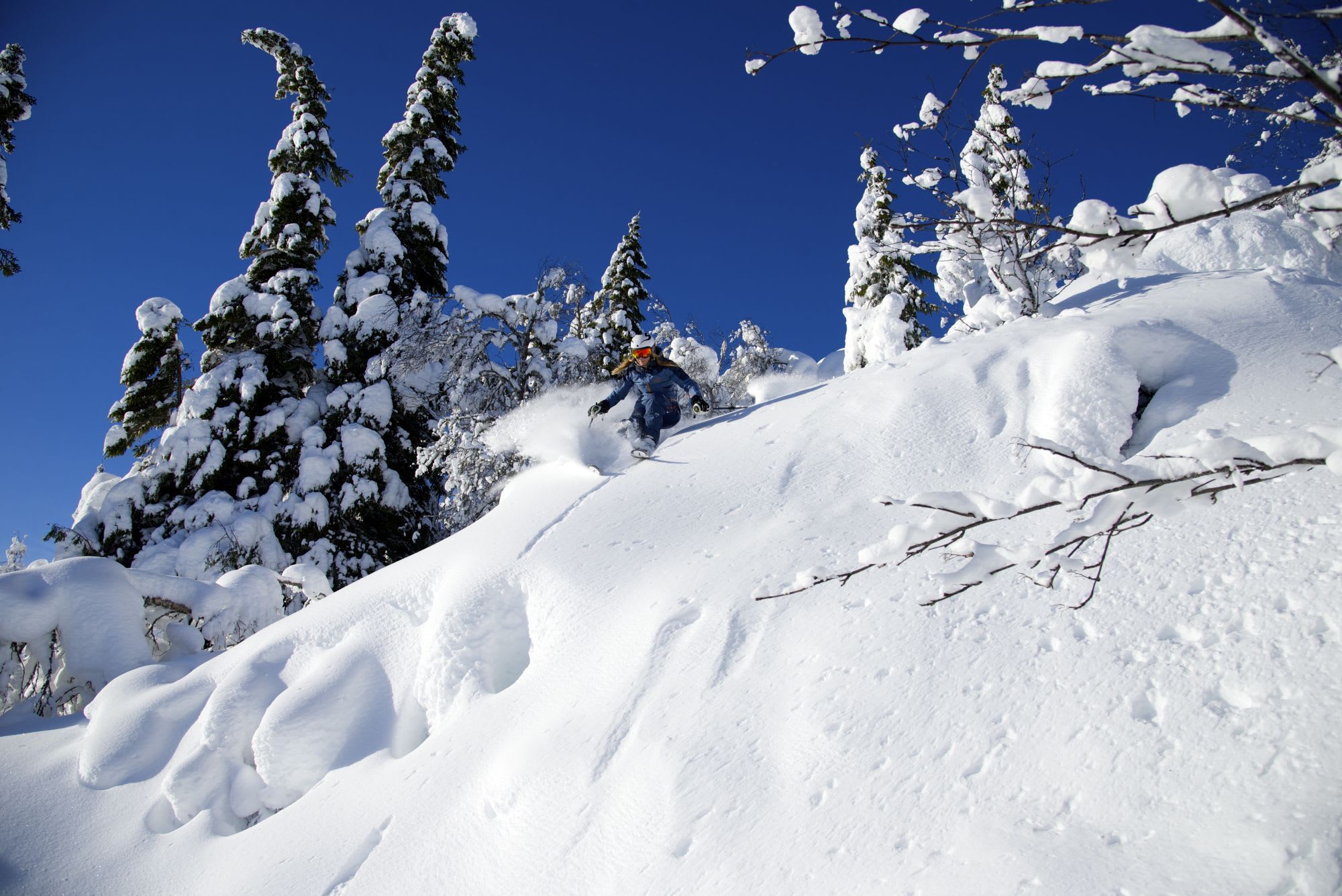 A skier in a blue jacket carves through deep snow on a slope, with snow-covered trees and a bright blue sky.