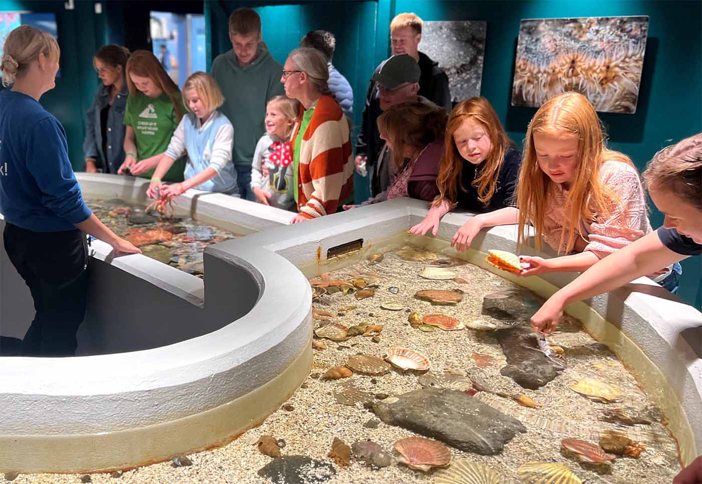 Children exploring marine life in interactive touch pool at Atlanterhavsparken