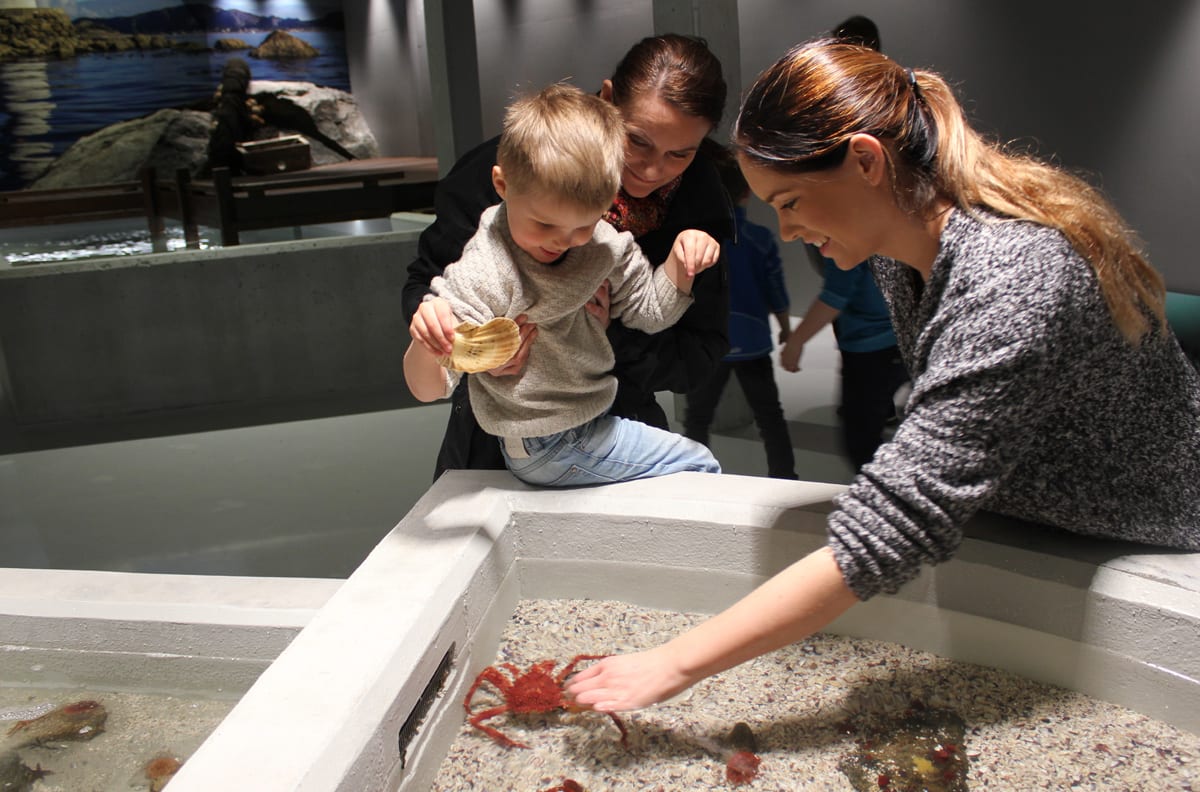 Families with children exploring interactive marine exhibits and touch pools at Atlanterhavsparken