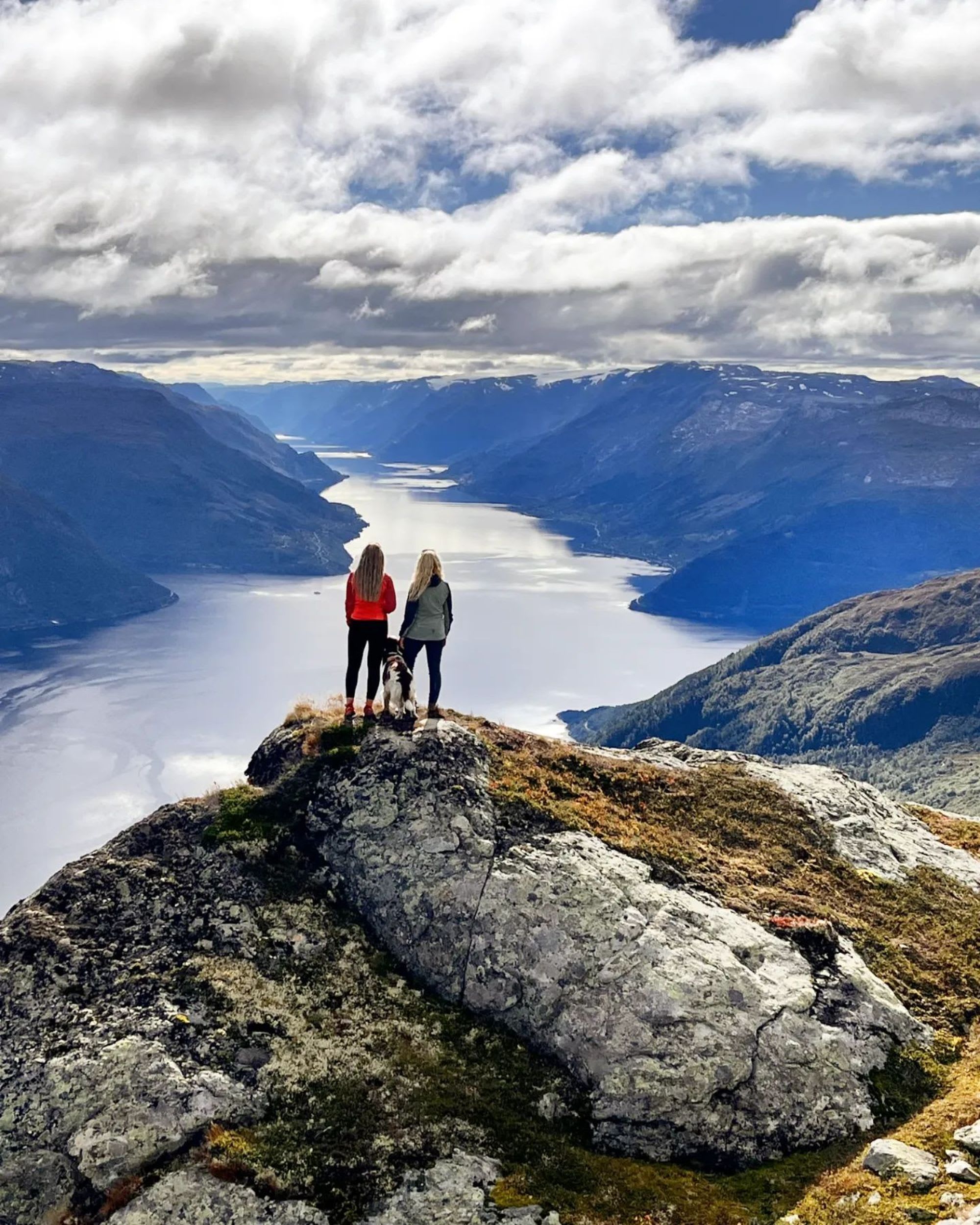 Turgåere og hund nyter fjordutsik over Hardangerfjorden fra toppen.