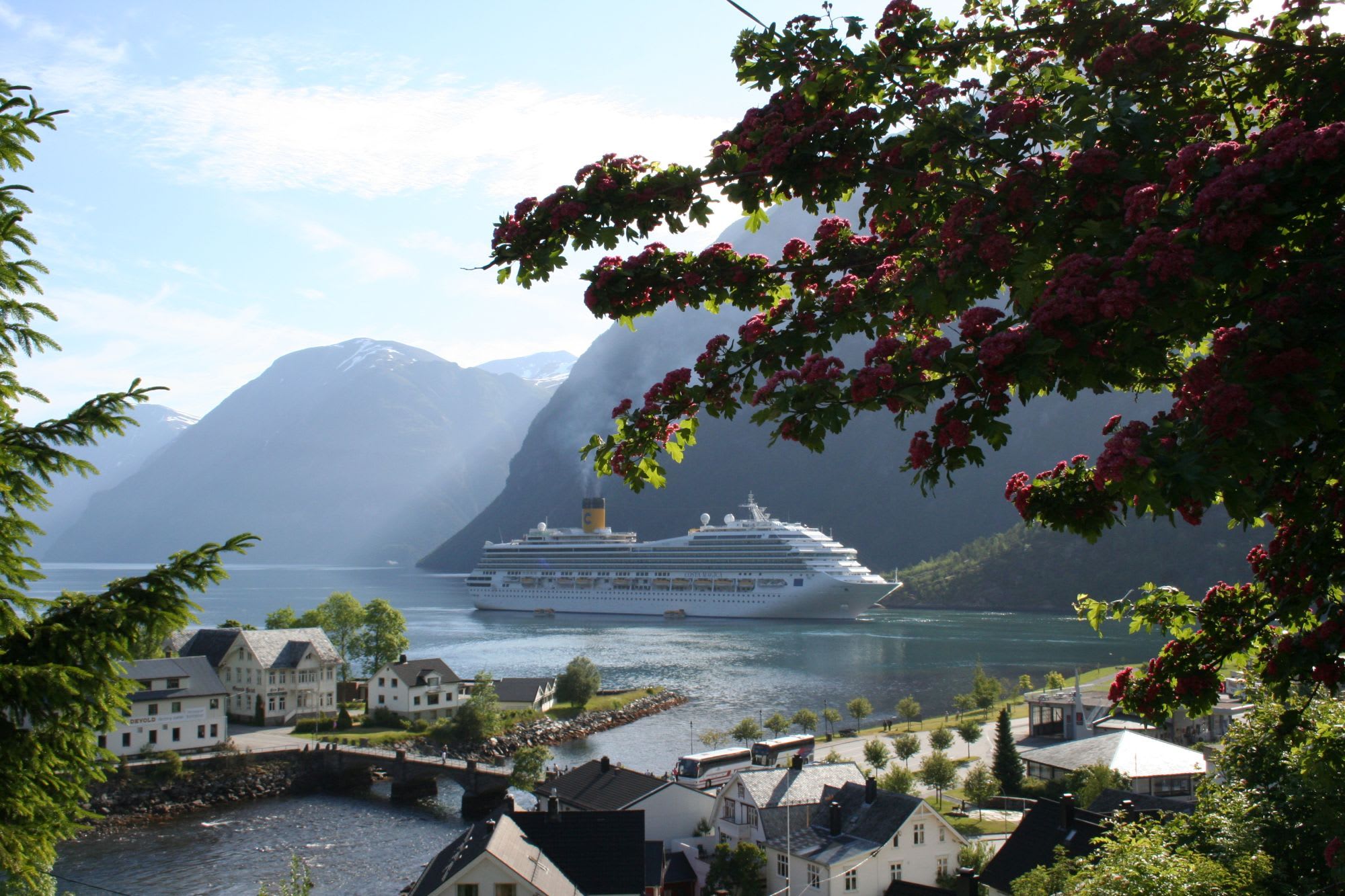 Cruiseskip ankommer fjordby med fjellutsikt.
