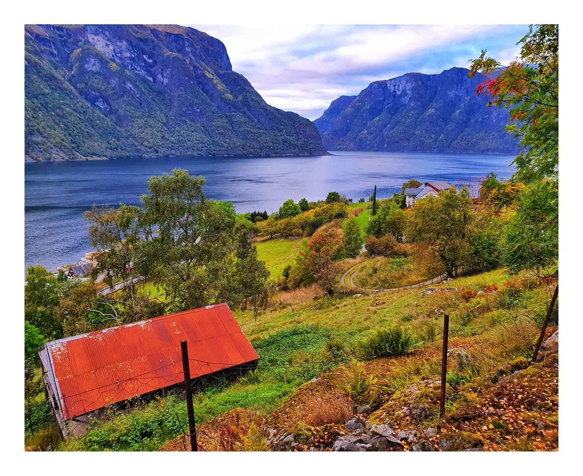 Autumn fjord view with shed and houses on hillside.