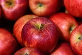 Apple A1 gala