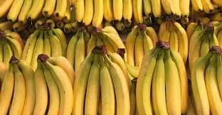 Banana Robusta