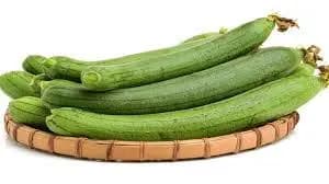 Gilki (Sponge Gourd)