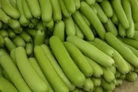 Lauki (Bottle Gourd)