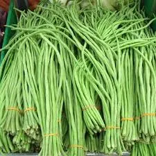 French Beans