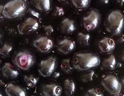 Black Jamun